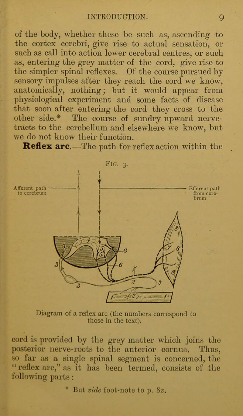 of the body, whether these be such as, ascending to the cortex cerebri, give rise to actual sensation, or such as call into action lower cerebral centres, or such as, entering the grey matter of the cord, give rise to the simpler spinal reflexes. Of the course pursued by sensory impulses after they reach the cord we know, anatomically, nothing; but it would appear from physiological experiment and some facts of disease that soon after entering the cord they cross to the other side.* The course of sundry upward nerve- tracts to the cerebellum and elsewhere we know, but we do not know their function. Reflex arc.—The path for reflex action within the Efferent path from cere- brum Diagram of a reflex arc (the numbers correspond to those in the text). cord is provided by the grey matter which joins the posterior nerve-roots to the anterior cornua. Thus, so far as a single spinal segment is concerned, the “ reflex arc,” as it has been termed, consists of the following parts: * But vide foot-note to p. 82. Fig. 3. i 1 7 1 V Afferent path A I to cerebrum | I