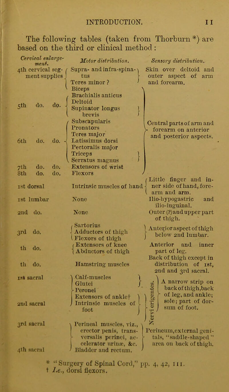 The following tables (taken from Thorburn *) are based on the third or clinical method: Cervical enlarge- ment. 4th cervical seg- ment supplies do. do. - 6th do. do. - 7th do. do. 8th do. do. ist dorsal ist lumbar 2nd do. 3rd do. th do. tli do. Motor distribution. Supra- and infra-spina-1 tus | Teres minor ? ' Biceps ^ Bracliialis anticus Deltoid Supinator longus brevis Subscapularis Pronators Teres major Latissimus dorsi Pectoralis major Triceps Serratus magnus Extensors of wrist Flexors / Sensory distribution. Skin over deltoid and outer aspect of arm and forearm. Ceu tral parts of arm and • forearm on anterior and posterior aspects. ist sacral 2nd sacral 3rd sacral 4U1 sacral Intrinsic muscles of hand None None / Sartorius - Adductors of thigh (Flexors of thigh 1 Extensors of knee \ Abductors of thigh Hamstring muscles Calf-muscles 1 Glutei J ■ Peronei Extensors of anklet \ Intrinsic muscles of foot j Perineal muscles, viz., erector penis, trans- vcrsalis perinci, ac- celerator urinaj, &c. Bladder and rectum. Little finger and in- ner side of hand, fore- arm and arm. Ilio-hypogastric and ilio-inguinal. Outer (?) and upper part of thigh. ) Anterior aspect of thigh j below 2nd lumbar. Anterior and inner part of leg. Back of thigh except in distribution of ist, 2nd and 3rd sacral. \ A narrow strip on back of thigh,back of leg, and ankle; sole; part of dor- sum of foot. 9 to •E <u ■p 0) 'A Perineum,external geni- tals, “saddle-shaped area on back of thigh. * “ Surgery of Spinal Cord,” pp. 4, 42, lti. t l.e., dorsi flexors.