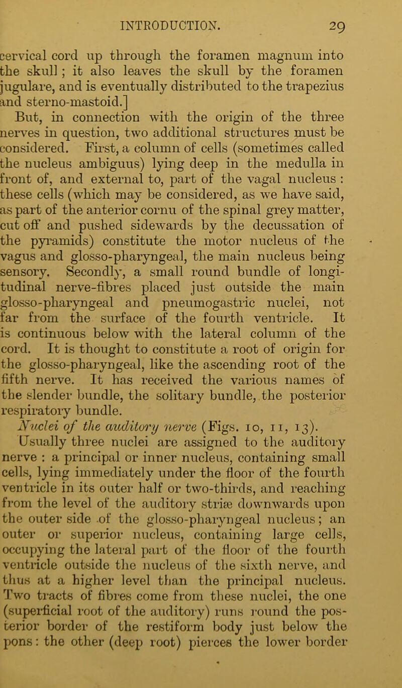 cervical cord up through the foramen magnum into the skull; it also leaves the skull by the foramen jugulare, and is eventually distributed to the trapezius and sterno-mastoid.] But, in connection with the origin of the three nerves in question, two additional structures must be considered. First, a column of cells (sometimes called the nucleus ambiguus) lying deep in the medulla in front of, and external to, part of the vagal nucleus : these cells (which may be considered, as we have said, as part of the anterior cornu of the spinal grey matter, cut off and pushed sidewards by the decussation of the pyramids) constitute the motor nucleus of the vagus and glosso-pharyngeal, the main nucleus being sensory. Secondly, a small round bundle of longi- tudinal nerve-fibres placed just outside the main glosso-pharyngeal and pneumogastric nuclei, not far from the surface of the fourth ventricle. It is continuous below with the lateral column of the cord. It is thought to constitute a root of origin for the glosso-pharyngeal, like the ascending root of the fifth nerve. It has received the various names of the slender bundle, the solitary bundle, the posterior respiratory bundle. Nuclei of the auditory nerve (Figs. 10, 11, 13). Usually three nuclei are assigned to the auditory nerve : a principal or inner nucleus, containing small cells, lying immediately under the floor of the fourth ventricle in its outer half or two-thirds, and reaching from the level of the auditory stride downwards upon the outer side .of the glosso-pharyngeal nucleus; an outer or superior nucleus, containing large cells, occupying the lateral part of the floor of the fourth ventricle outside the nucleus of the sixth nerve, and thus at a higher level than the principal nucleus. Two tracts of fibres come from these nuclei, the one (superficial root of the auditory) runs round the pos- terior border of the restiform body just below the pons: the other (deep root) pierces the lower border
