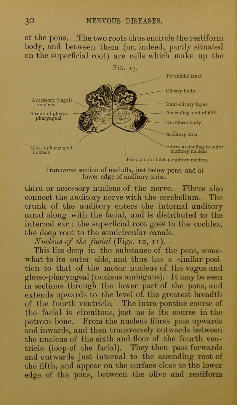 of the pons. The two roots thus encircle the restiform body, and between them (or, indeed, partly situated on the superficial root) are cells which make up the Accessory (vagal) nucleus Trunk of glosso- pharyngeal Glosso-pharyngeal nucleus Olivary body Inter-olivary layer Ascending root of fifth Restiform body Auditory stria Fibres ascending to outer auditory nucleus Principal (or inner) auditory nucleus Fig. 13. Pyramidal tract Transverse section of medulla, just below pons, and at lower edge of auditory striae. third or accessory nucleus of the nerve. Fibres also connect the auditory nerve with the cerebellum. The trunk of the auditory enters the internal auditory canal along with the facial, and is distributed to the internal ear : the superficial root goes to the cochlea, the deep root to the semicircular canals. Nucleus of the facial (Figs. 10, 11). This lies deep in the substance of the pons, some- what to its outer side, and thus has a similar posi- tion to that of the motor nucleus of the vagus and glosso-pharyngeal (nucleus ambiguus). It may be seen in sections through the lower part of the pons, and extends upwards to the level of. the greatest breadth of the fourth ventricle. The intra-pontine course of the facial is circuitous, just as is its course in the petrous bone. From the nucleus fibres pass upwards and inwards, and then transversely outwards between the nucleus of the sixth and floor of the fourth ven- tricle (loop of the facial). They then pass forwards and outwards just internal to the ascending root of the fifth, and appear on the surface close to the lower edge of the pons, between the olive and restiform