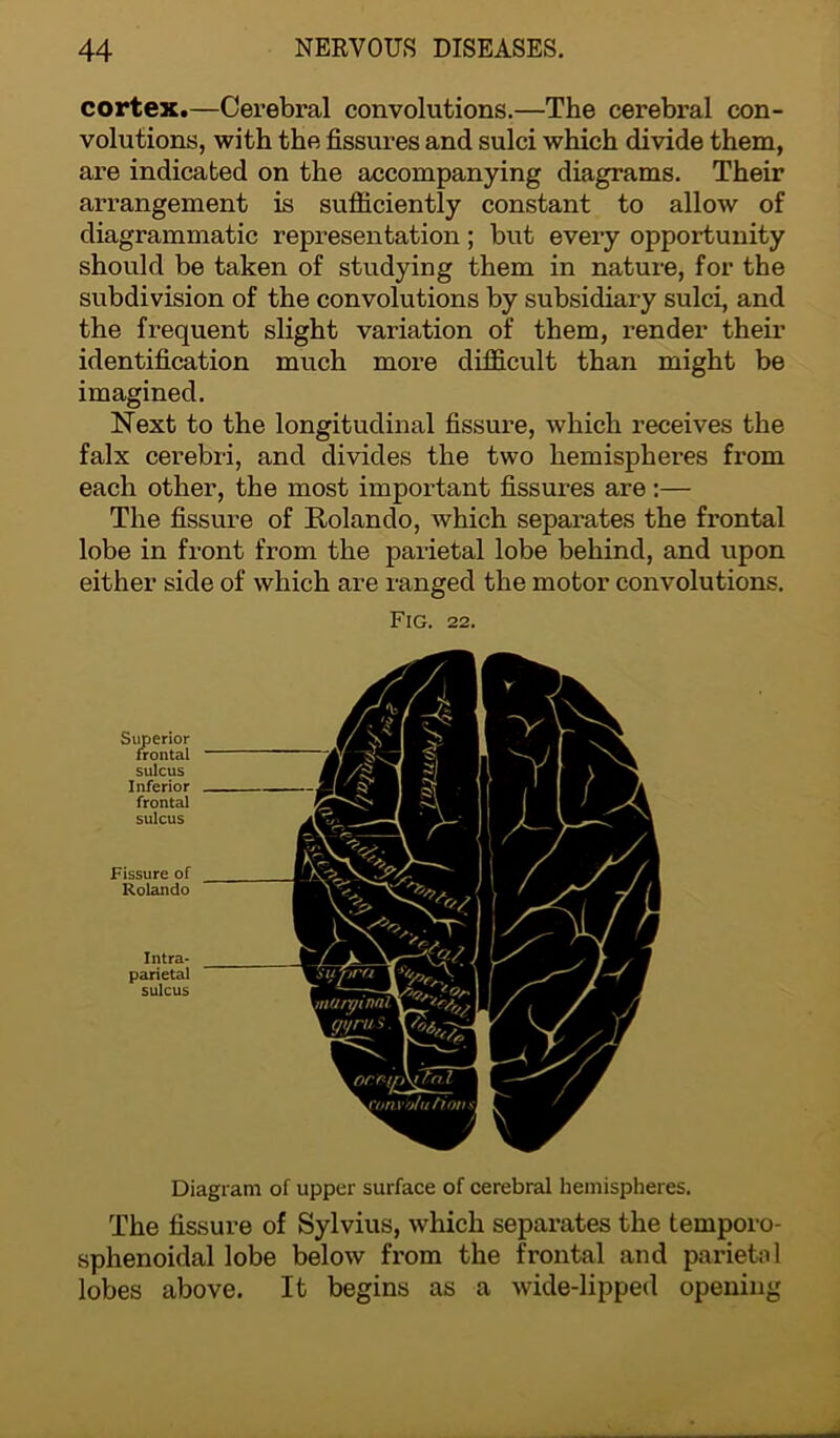 cortex.—Cerebral convolutions.—The cerebral con- volutions, with the fissures and sulci which divide them, are indicated on the accompanying diagrams. Their arrangement is sufficiently constant to allow of diagrammatic representation; but every opportunity should be taken of studying them in nature, for the subdivision of the convolutions by subsidiary sulci, and the frequent slight variation of them, render their identification much more difficult than might be imagined. Next to the longitudinal fissure, which receives the falx cerebri, and divides the two hemispheres from each other, the most important fissures are:— The fissure of Rolando, which separates the frontal lobe in front from the parietal lobe behind, and upon either side of which are ranged the motor convolutions. Fig. 22. Superior frontal sulcus Inferior frontal sulcus Fissure of Rolando Intra- parietal sulcus Diagram of upper surface of cerebral hemispheres. The fissure of Sylvius, which separates the temporo- sphenoidal lobe below from the frontal and parietal lobes above. It begins as a wide-lipped opening