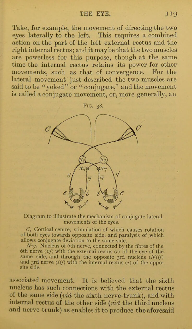 Take, for example, the movement of directing the two eyes laterally to the left. This requires a combined action on the part of the left external rectus and the right internal rectus; and it maybe that the two muscles are powerless for this purpose, though at the same time the internal rectus retains its power for other movements, such as that of convergence. For the lateral movement just described the two muscles are said to be “yoked” or “ conjugate,” and the movement is called a conjugate movement, or, more generally, an Fig. 38. Diagram to illlustrate the mechanism of conjugate lateral movements of the eyes. C, Cortical centre, stimulation of which causes rotation of both eyes towards opposite side, and paralysis of which allows conjugate deviation to the same side. Nvj, Nucleus of 6th nerve, connected by the fibres of the 6th nerve (vj) with the external rectus (e) of the eye of the same side, and through the opposite 3rd nucleus (Niij) and 3rd nerve (iij) with the internal rectus (*) of the oppo- site side. associated movement. It is believed that the sixth nucleus has such connections with the external rectus of the same side (vid the sixth nerve-trunk), and with internal rectus of the other side (vid the third nucleus and nerve-trunk) as enables it to produce the aforesaid