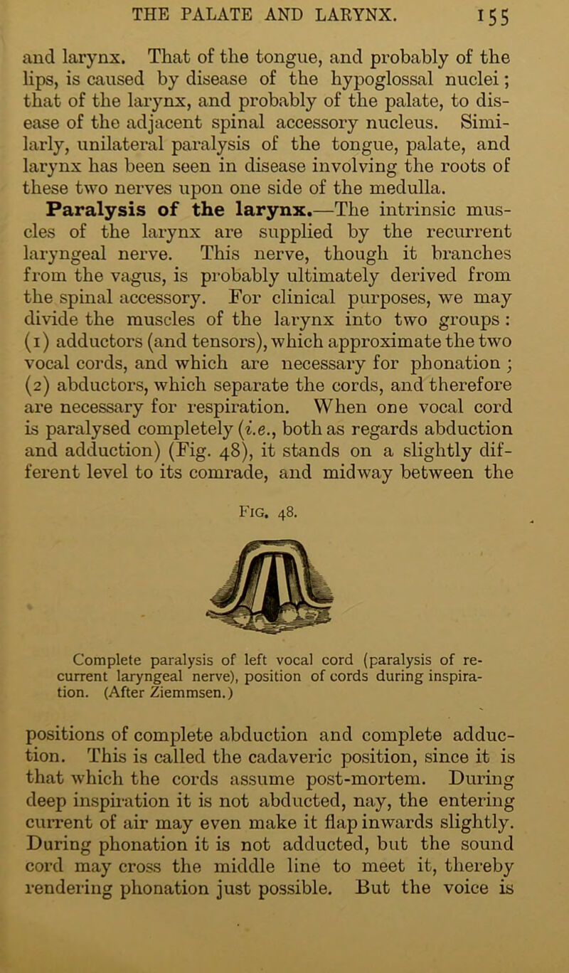and larynx. That of the tongue, and probably of the lips, is caused by disease of the hypoglossal nuclei; that of the larynx, and probably of the palate, to dis- ease of the adjacent spinal accessory nucleus. Simi- larly, unilateral paralysis of the tongue, palate, and larynx has been seen in disease involving the roots of these two nerves upon one side of the medulla. Paralysis of the larynx.—The intrinsic mus- cles of the larynx are supplied by the recurrent laryngeal nerve. This nerve, though it branches from the vagus, is probably ultimately derived from the spinal accessory. For clinical purposes, we may divide the muscles of the larynx into two groups : (1) adductors (and tensors), which approximate the two vocal cords, and which are necessary for phonation ; (2) abductors, which separate the cords, and therefore are necessary for respiration. When one vocal cord is paralysed completely (i.e., both as regards abduction and adduction) (Fig. 48), it stands on a slightly dif- ferent level to its comrade, and midway between the Fig. 48. Complete paralysis of left vocal cord (paralysis of re- current laryngeal nerve), position of cords during inspira- tion. (After Ziemmsen.) positions of complete abduction and complete adduc- tion. This is called the cadaveric position, since it is that which the cords assume post-mortem. During deep inspiration it is not abducted, nay, the entering current of air may even make it flap inwards slightly. During phonation it is not adducted, but the sound cord may cross the middle line to meet it, thereby rendering phonation just possible. But the voice is