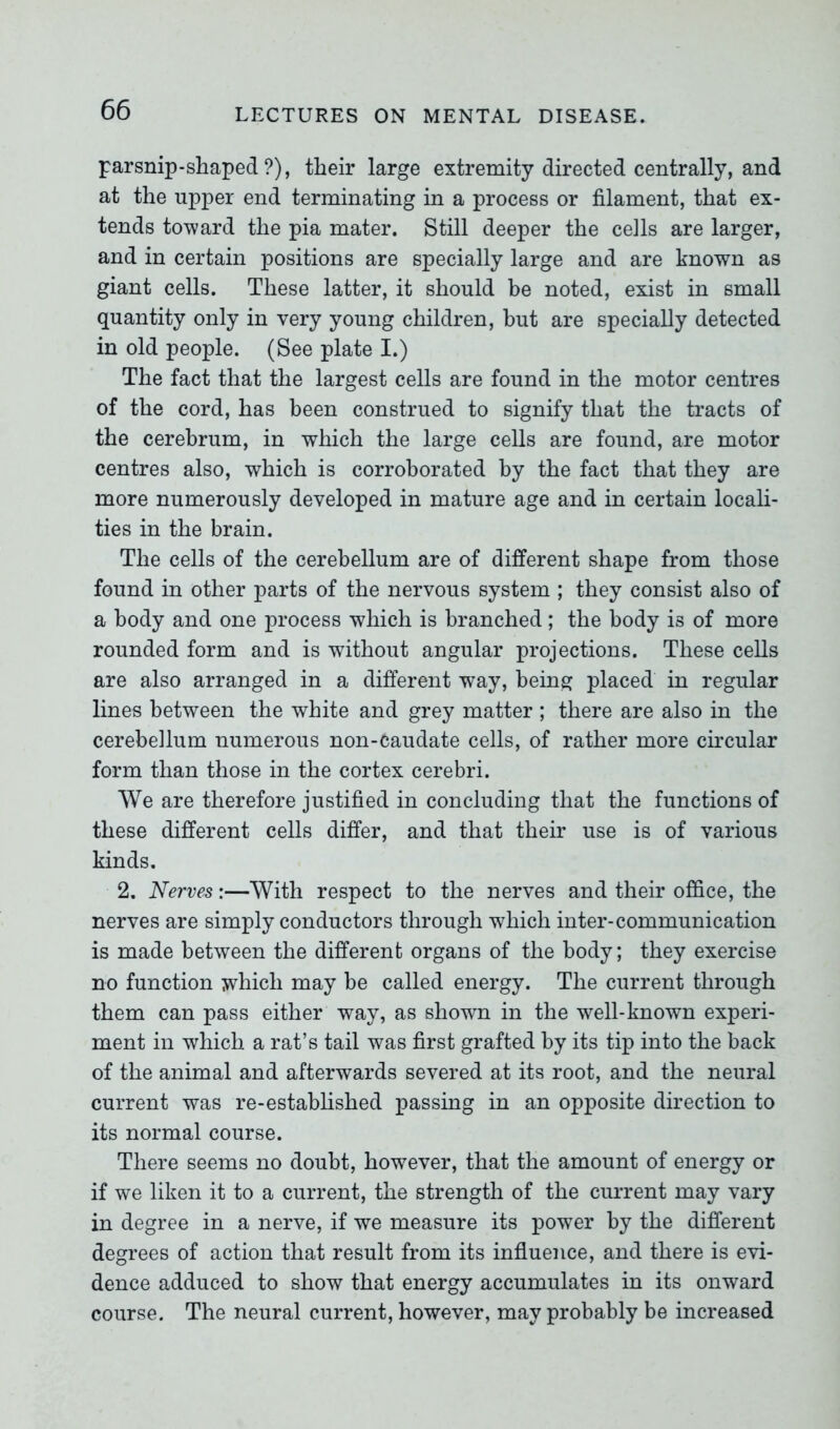 parsnip-shaped?), their large extremity directed centrally, and at the upper end terminating in a process or filament, that ex- tends toward the pia mater. Still deeper the cells are larger, and in certain positions are specially large and are known as giant cells. These latter, it should be noted, exist in small quantity only in very young children, but are specially detected in old people. (See plate I.) The fact that the largest cells are found in the motor centres of the cord, has been construed to signify that the tracts of the cerebrum, in which the large cells are found, are motor centres also, which is corroborated by the fact that they are more numerously developed in mature age and in certain locali- ties in the brain. The cells of the cerebellum are of different shape from those found in other parts of the nervous system ; they consist also of a body and one process which is branched; the body is of more rounded form and is without angular projections. These cells are also arranged in a different way, being placed in regular lines between the white and grey matter ; there are also in the cerebellum numerous non-caudate cells, of rather more circular form than those in the cortex cerebri. We are therefore justified in concluding that the functions of these different cells differ, and that their use is of various kinds. 2. Nerves:—With respect to the nerves and their office, the nerves are simply conductors through which inter-communication is made between the different organs of the body; they exercise no function which may be called energy. The current through them can pass either way, as shown in the well-known experi- ment in which a rat’s tail was first grafted by its tip into the back of the animal and afterwards severed at its root, and the neural current was re-established passing in an opposite direction to its normal course. There seems no doubt, however, that the amount of energy or if we liken it to a current, the strength of the current may vary in degree in a nerve, if we measure its power by the different degrees of action that result from its influence, and there is evi- dence adduced to show that energy accumulates in its onward course. The neural current, however, may probably be increased