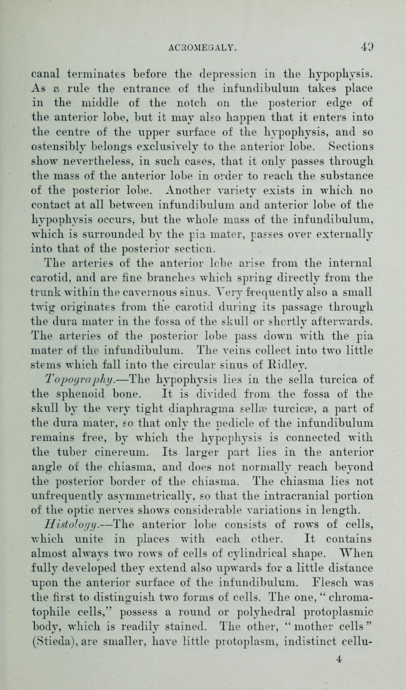 canal terminates before the depression in the hypophysis. As a rule the entrance of the infundibulum takes place in the middle of the notch on the posterior edge of the anterior lobe, but it may also happen that it enters into the centre of the upper surface of the hypophysis, and so ostensibly belongs exclusively to the anterior lobe. Sections show nevertheless, in such cases, that it only passes through the mass of the anterior lobe in order to reach the substance of the posterior lobe. Another variety exists in which no contact at all between infundibulum and anterior lobe of the hypophysis occurs, but the whole mass of the infundibulum, which is surrounded by the pia mater, passes over externally into that of the posterior section. The arteries of the anterior lebe arise from the internal carotid, and are fine branches which spring directly from the trunk within the cavernous sinus. Very frequently also a small twig originates from the carotid during its passage through the dura mater in the fossa of the skull or shortly afterwards. The arteries of the posterior lobe pass down with the pia mater of the infundibulum. The veins collect into two little stems which fall into the circular sinus of Ridley. Topography.—The hypophysis lies in the sella turcica of the sphenoid bone. It is divided from the fossa of the skull by the very tight diaphragma selke turcicse, a part of the dura mater, so that only the pedicle of the infundibulum remains free, by which the hypophysis is connected with the tuber cinereum. Its larger part lies in the anterior angle of the cliiasma, and does not normally reach beyond the posterior border of the cliiasma. The chiasma lies not unfrequently asymmetrically, so that the intracranial portion of the optic nerves shows considerable variations in length. Histology.—The anterior lobe consists of rows of cells, which unite in places with each other. It contains almost always two rows of cells of cylindrical shape. When fully developed they extend also upwards for a little distance upon the anterior surface of the infundibulum. Flesch was the first to distinguish two forms of cells. The one, “ chroma- tophile cells,” possess a round or polyhedral protoplasmic body, which is readily stained. The other, “ mother cells ” (Stieda), are smaller, have little protoplasm, indistinct cellu- 4