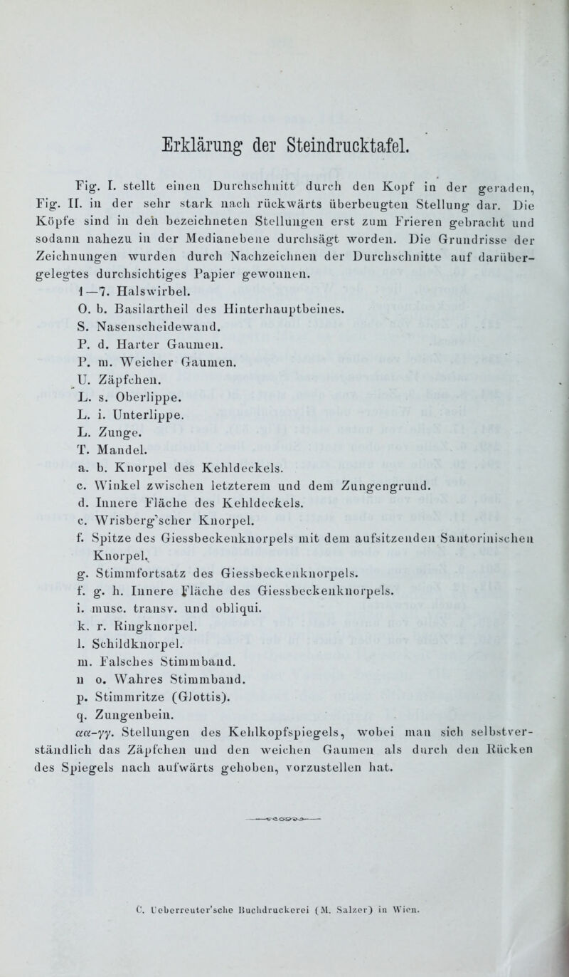 Erklärung der Steindrucktafel. Fig*. I. stellt einen Durchschnitt durch den Kopf in der geraden, Fig. ir. in der sehr stark nach rückwärts iiberbeugteii Stellung dar. Die Köpfe sind in den bezeichneten Stellungen erst zum Frieren gebracht und sodann nahezu in der Medianebene durchsägt worden. Die Grundrisse der Zeichnungen wurden durch Nachzeichnen der Durchschnitte auf darüber- gelegtes durchsichtiges Papier gewonnen. i—7. Halswirbel. 0. b. Basilartheil des Hinterhauptbeines. S. Nasenscheidewand. P. d. Harter Gaumen. P. m. Weicher Gaumen. U. Zäpfchen. L. s. Oberlippe. L. i. Unterlippe. L. Zunge. T. Mandel. a. b. Knorpel des Kehldeckels. c. Winkel zwischen letzterem und dem Zungengrund. d. Innere Fläche des Kehldeckels, c. Wrisberg’scher Knorpel. f. Spitze des Giessbeckeukiiorpels mit dem aufsitzenden Santorinischeii Knorpel. g. Stimmfortsatz des Giessbeckenknorpels. f. g. h. Innere Fläche des Giessbeckeiiknorpels. 1. musc. transv. und obliqui. k. r. Ringknorpel. l. Schildknorpel. m. Falsches Stirnmbaiid. u o. Wahres Stimmband. p. Stimmritze (Glottis). q. Zungenbein. acc-yy. Stellungen des Kehlkopfspiegels, wobei man sich selbstver- ständlich das Zäpfchen und den weichen Gaumen als durch den Rücken des Spiegels nach aufwärts gehoben, A^orzustellen hat.