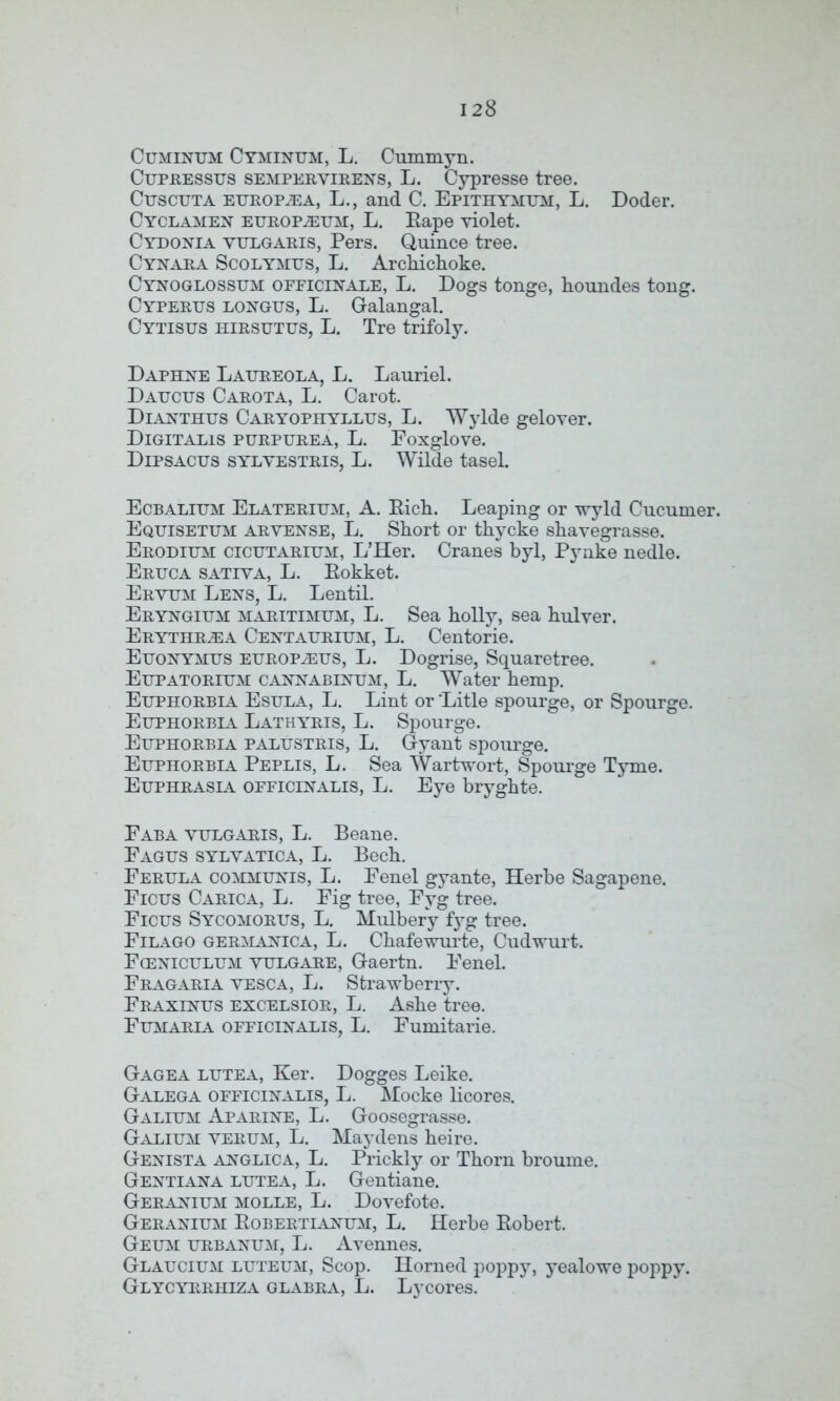 Cuminum Cymintjm, L. Cummyn. Cupressus sempervirens, L. Cypresse tree. Cuscuta europ^ea, L., and C. Epithymum, L. Doder. Cyclamen europium, L. Rape violet. Cydonia vulgaris, Pers. Quince tree. Cynara Scolymus, L. Archichoke. Cynoglossum officinale, L. Dogs tonge, houndes tong. Cyperus longus, L. Galangal. Cytisus hirsutus, L. Tre trifoly. Daphne Laureola, L. Lauriel. Daucus Carota, L. Carot. Dianthus Caryophyllus, L. Wylde gelover. Digitalis purpurea, L. Poxglove. Dipsacus sylvestris, L. Wilde tasel. Ecbalium Elaterium, A. Ricli. Leaping or wyld Cucumer. Equisetum arvense, L. Short or thycke shavegrasse. Erodium cicutarium, L’Her. Cranes byl, Pynke nedle. Eruca sativa, L. Rokket. Ervum Lens, L. Lentil. Eryngium maritimum, L. Sea holly, sea hulver. Erythr^ea Centaurium, L. Centorie. Euonymus europ^eus, L. Dogrise, Squaretree. Eupatorium cannabinum, L. Water hemp. Euphorbia Esula, L. Lint or Litle spourge, or Spourge. Euphorbia Lathyris, L. Spourge. Euphorbia palustris, L. Gyant spourge. Euphorbia Peplis, L. Sea Wartwort, Spourge Tyme. Euphrasia officinalis, L. Eye bryghte. Eaba vulgaris, L. Beane. Fagus sylvatica, L. Bech. Ferula communis, L. Fenel gyante, Herbe Sagapene. Ficus Carica, L. Fig tree, Fyg tree. Ficus Sycomorus, L. Mulbery fyg tree. Filago germanica, L. Chafewurte, Cudwurt. Fceniculum vulgare, Gaertn. Fenel. Fragaria vesca, L. Strawberry. Fraxinus excelsior, L. Ashe tree. Fumaria officinalis, L. Fumitarie. Gagea lutea, Ker. Dogges Leike. Galega officinalis, L. Mocke licores. Galium Aparine, L. Goosegrasse. Galium verum, L. Maydens heire. Genista anglica, L. Prickly or Thorn broume. Gentiana lutea, L. Gentiane. Geranium molle, L. Dovefote. Geranium Robertianum, L. Herbe Robert. Geum urbanum, L. Avennes. Glaucium luteum, Scop. Horned poppy, yealowe poppy. Glycyrrhiza glabra, L. Lycores.