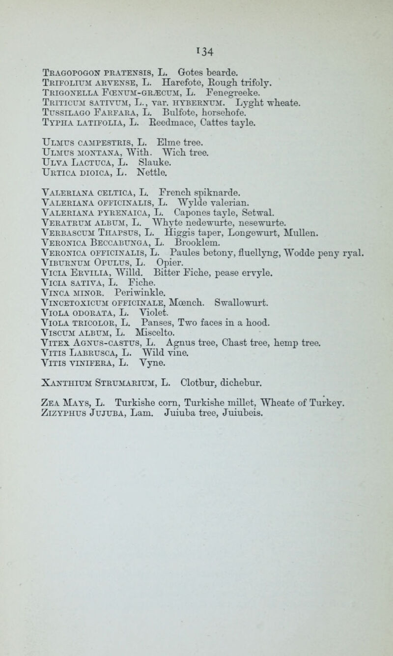 *34 Tragopogon pratensis, L. Gotes bearde. Trifolitjm arvense, L. Harefote, Bough trifoly. Trigonella Fcenum-gilecgm, L. Fenegreeke. Triticum sativum, L., var. hybernum. Lyght wheate. Tussilago Farfara, L. Bulfote, horsehofe. Typha latifolia, L. Beedmace, Cattes tayle. Ulmus campestris, L. Elme tree. Ulmus Montana, With. Wich tree. Ulya Lactuca, L. Slauke. Urtica dioica, L. Nettle. Valeriana celtica, L. French spiknarde. Valeriana officinalis, L. Wylde valerian. Valeriana pyrenaica, L. Capones tayle, Setwal. Veratrtjm album, L. Whyte nedewurte, nesewurte. Verbascum Thapsus, L. Higgis taper, Longewurt, Mullen. Veronica Beccabijnga, L. Brooklem. Veronica officinalis, L. Paules betony, fluellyng, Wodde peny ryal. Viburnum Opulus, L. Opier. Vicia Eryilia, Willd. Bitter Fiche, pease ervyle. Vicia sativa, L. Fiche. Vinca minor. Periwinkle. Vlncetoxicum officinale, Moench. Swallowurt. Viola odorata, L. Violet. Viola tricolor, L. Panses, Two faces in a hood. Viscum album, L. Miscelto. Vitex Agnus-castus, L. Agnus tree, Chast tree, hemp tree. Vitis Labrusca, L. Wild vine. Vitis yinifera, L. Vyne. Xanthium Strumarium, L. Clotbur, dichebur. Zea Mays, L. Turkishe corn, Turkishe millet, Wheate of Turkey. Zizyphus Jujuba, Lam. Juiuba tree, Juiubeis.