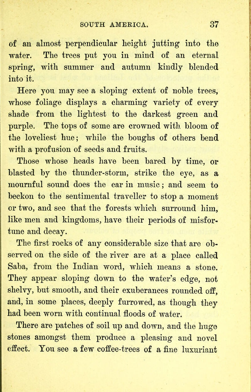 of an almost perpendicular height jutting into the water. The trees put you in mind of an eternal spring, with summer and autumn kindly blended into it. Here you may see a sloping extent of noble trees, whose foliage displays a charming variety of every shade from the lightest to the darkest green and purple. The tops of some are crowned with bloom of the loveliest hue; while the boughs of others bend with a profusion of seeds and fruits. Those whose heads have been bared by time, or blasted by the thunder-storm, strike the eye, as a mournful sound does the ear in music; and seem to beckon to the sentimental traveller to stop a moment or two, and see that the forests which surround him, like men and kingdoms, have their periods of misfor- tune and decay. The first rocks of any considerable size that are ob- served on the side of the river are at a place called Saba, from the Indian word, which means a stone. They appear sloping down to the water’s edge, not shelvy, but smooth, and their exuberances rounded off, and, in some places, deeply furrowed, as though they had been worn with continual floods of water. There are patches of soil up and down, and the huge stones amongst them produce a pleasing and novel effect. You see a few coffee-trees of a fine luxuriant