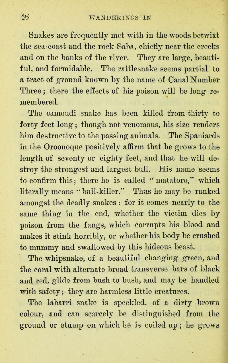 Snakes are frequently met with in the woods betwixt the sea-coast and the rock Saba, chiefly near the creeks and on the banks of the river. They are large, beauti- ful, and formidable. The rattlesnake seems partial to a tract of ground known by the name of Canal Number Three ; there the effects of his poison will be long re- membered. The camoudi snake has been killed from thirty to forty feet long ; though not venomous, his size renders him destructive to the passing animals. The Spaniards in the Oroonoque positively affirm that he grows to the length of seventy or eighty feet, and that he will de- stroy the strongest and largest bull. His name seems to confirm this; there he is called “ matatoro,” which literally means “ bull-killer.” Thus he may be ranked amongst the deadly snakes : for it comes nearly to the same thing in the end, whether the victim dies by poison from the fangs, which corrupts his blood and makes it stink horribly, or whether his body be crushed to mummy and swallowed by this hideous beast. The whipsnake, of a beautiful changing green, and the coral with alternate broad transverse bars of black and red, glide from bush to bush, and may be handled with safety; they are harmless little creatures. The labarri snake is speckled, of a dirty brown colour, and can scarcely be distinguished from the ground or stump on which he is coiled up; he grows