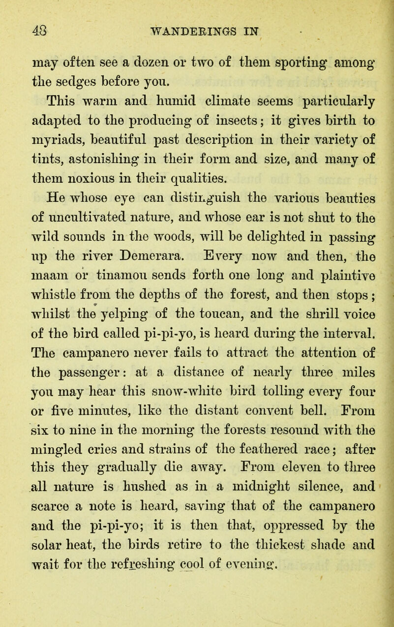 may often see a dozen or two of them sporting among the sedges before you. This warm and humid climate seems particularly adapted to the producing of insects; it gives birth to myriads, beautiful past description in their variety of tints, astonishing in their form and size, and many of them noxious in their qualities. He whose eye can distinguish the various beauties of uncultivated nature, and whose ear is not shut to the wild sounds in the woods, will be delighted in passing up the river Demerara. Every now and then, the maam or tinamou sends forth one long and plaintive whistle from the depths of the forest, and then stops ; whilst the yelping of the toucan, and the shrill voice of the bird called pi-pi-yo, is heard during the interval. The campanero never fails to attract the attention of the passenger: at a distance of nearly three miles you may hear this snow-white bird tolling every four or five minutes, like the distant convent bell. From six to nine in the morning the forests resound with the mingled cries and strains of the feathered race; after this they gradually die away. From eleven to three all nature is hushed as in a midnight silence, and scarce a note is heard, saving that of the campanero and the j)i-pi-yo; it is then that, oppressed by the solar heat, the birds retire to the thickest shade and wait for the refreshing cool of evening:.
