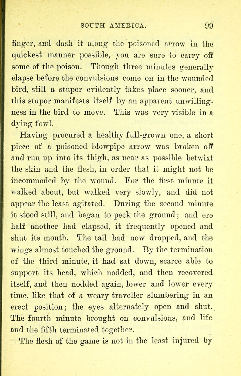 fmger, and dash, it along the poisoned arrow in the quickest manner possible, you are sure to carry oil some of the poison. Though three minutes generally elapse before the convulsions come on in the wounded bird, still a stupor evidently takes place sooner, and this stupor manifests itself by an apparent unwilling- ness in the bird to move. This was very visible in a dying fowl. Having procured a healthy full-grown one, a short piece of a poisoned blowpipe arrow was broken oif and run up into its thigh, as near as possible betwixt the skin and the flesh, in order that it might not be incommoded by the wound. For the first minute it walked about, but walked very slowly, and did not appear the least agitated. During the second minute it stood still, and began to peck the ground; and ere half another had elapsed, it frequently opened and shut its mouth. The tail had now dropped, and the wings almost touched the ground. By the termination of the third minute, it had sat down, scarce able to support its head, which nodded, and then recovered itself, and then nodded again, lower and lower every time, like that of a w^eary traveller slumbering in an erect position; the eyes alternately open and shut. The fourth minute brought on convulsions, and life and the fifth terminated together. The flesh of the game is not in the least injured by