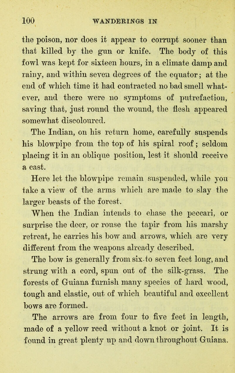 the poison, nor does it appear to corrupt sooner than that killed by the gun or knife. The body of this fowl was kept for sixteen hours, in a climate damp and rainy, and within seven degrees of the equator; at the end of which time it had contracted no bad smell what- ever, and there were no symptoms of putrefaction, saving that, just round the wound, the flesh appeared somewhat discoloured. The Indian, on his return home, carefully suspends his blowpipe from the top of his spiral roof; seldom placing it in an oblique position, lest it should receive a cast. Here let the blowpipe remain suspended, while you take a view of the arms which are made to slay the larger beasts of the forest. When the Indian intends to chase the peccari, or surprise the deer, or rouse the tapir from his marshy retreat, he carries his bow and arrows, which are very different from the weapons already described. The bow is generally from six-to seven feet long, and strung with a cord, spun out of the silk-grass. The forests of Guiana furnish many species of hard wood, tough and elastic, out of which beautiful and excellent bows are formed. The arrows are from four to five feet in length, made of a yellow reed without a knot or joint. It is found in great plenty up and down throughout Guiana,