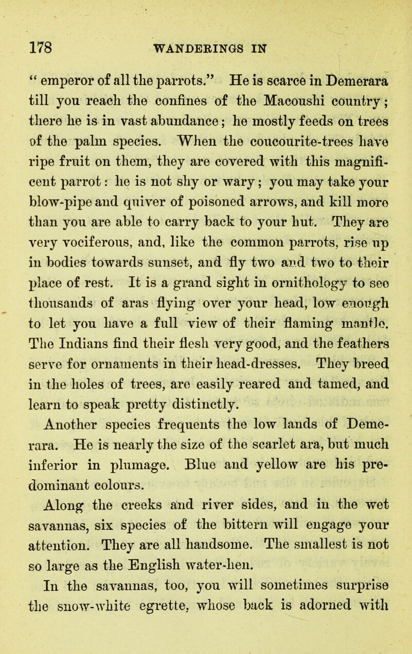 “ emperor of all the parrots.” He is scarce in Demerara till you reach the confines of the Macoushi country; there he is in vast abundance; he mostly feeds on trees of the palm species. When the coucourite-trees have ripe fruit on them, they are covered with this magnifi- cent parrot: he is not shy or wary; you may take your blow-pipe and quiver of poisoned arrows, and kill moro than you are able to carry back to your hut. They are very vociferous, and, like the common parrots, rise up in bodies towards sunset, and fly two and two to their place of rest. It is a grand sight in ornithology to see thousands of aras flying over your head, low enough to let you have a full view of their flaming mantle. The Indians find their flesh very good, and the feathers serve for ornaments in their head-dresses. They breed in the holes of trees, are easily reared and tamed, and learn to speak pretty distinctly. Another species frequents the low lands of Deme- rara. He is nearly the size of the scarlet ara, but much inferior in plumage. Blue and yellow are liis pre- dominant colours. Along the creeks and river sides, and in the wet savannas, six species of the bittern will engage your attention. They are all handsome. The smallest is not so large as the English water-hen. In the savannas, too, you will sometimes surprise the snow-white egrette, whose back is adorned with