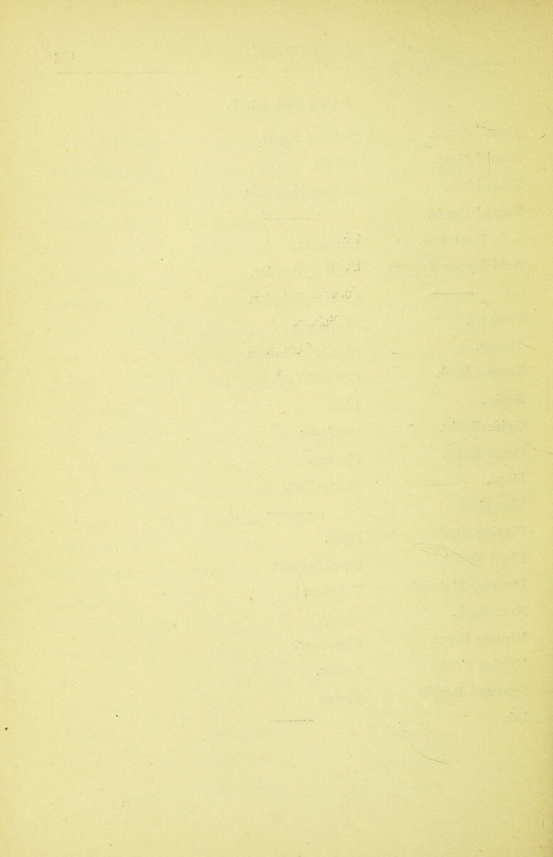 '• ■ t ■■■ y J ... ’ *Q •** • • ■> '