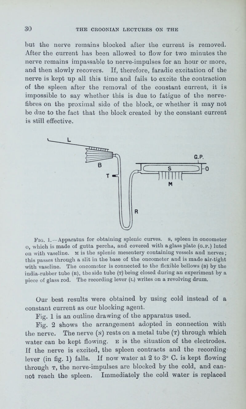 but the nerve remains blocked after the current is removed. After the current has been allowed to flow for two minutes the nerve remains impassable to nerve-impulses for an hour or more, and then slowly recovers. If, therefore, faradic excitation of the nerve is kept up all this time and fails to excite the contraction of the spleen after the removal of the constant current, it is impossible to say whether this is due to fatigue of the nerve- fibres on the proximal side of the block, or whether it may not be due to the fact that the block created by the constant current is still effective. Fig. 1.—Apparatus for obtaining splenic curves, s, spleen in oncometer o, which is made of gutta percha, and covered with a glass plate (g.p.) luted on with vaseline, m is the splenic mesentery containing vessels and nerves ; this passes through a slit in the base of the oncometer and is made air-tight with vaseline. The oncometer is connected to the flexible bellows (b) by the india-rubber tube (r), the side tube (t) being closed during an experiment by a piece of glass rod. The recording lever (n) writes on a revolving drum. Our best results were obtained by using cold instead of a constant current as our blocking agent. Fig. 1 is an outline drawing of the apparatus used. Fig. 2 shows the arrangement adopted in connection with the nerve. The nerve (n) rests on a metal tube (t) through which water can be kept flowing, e is the situation of the electrodes. If the nerve is excited, the spleen contracts and the recording lever (in fig. 1) falls. If now water at 2 to 3° C. is kept flowing through t, the nerve-impulses are blocked by the cold, and can- not reach the spleen. Immediately the cold water is replaced