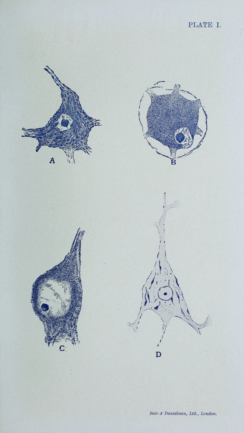 PLATE I. Bale & Danielsson, Ltd., London.