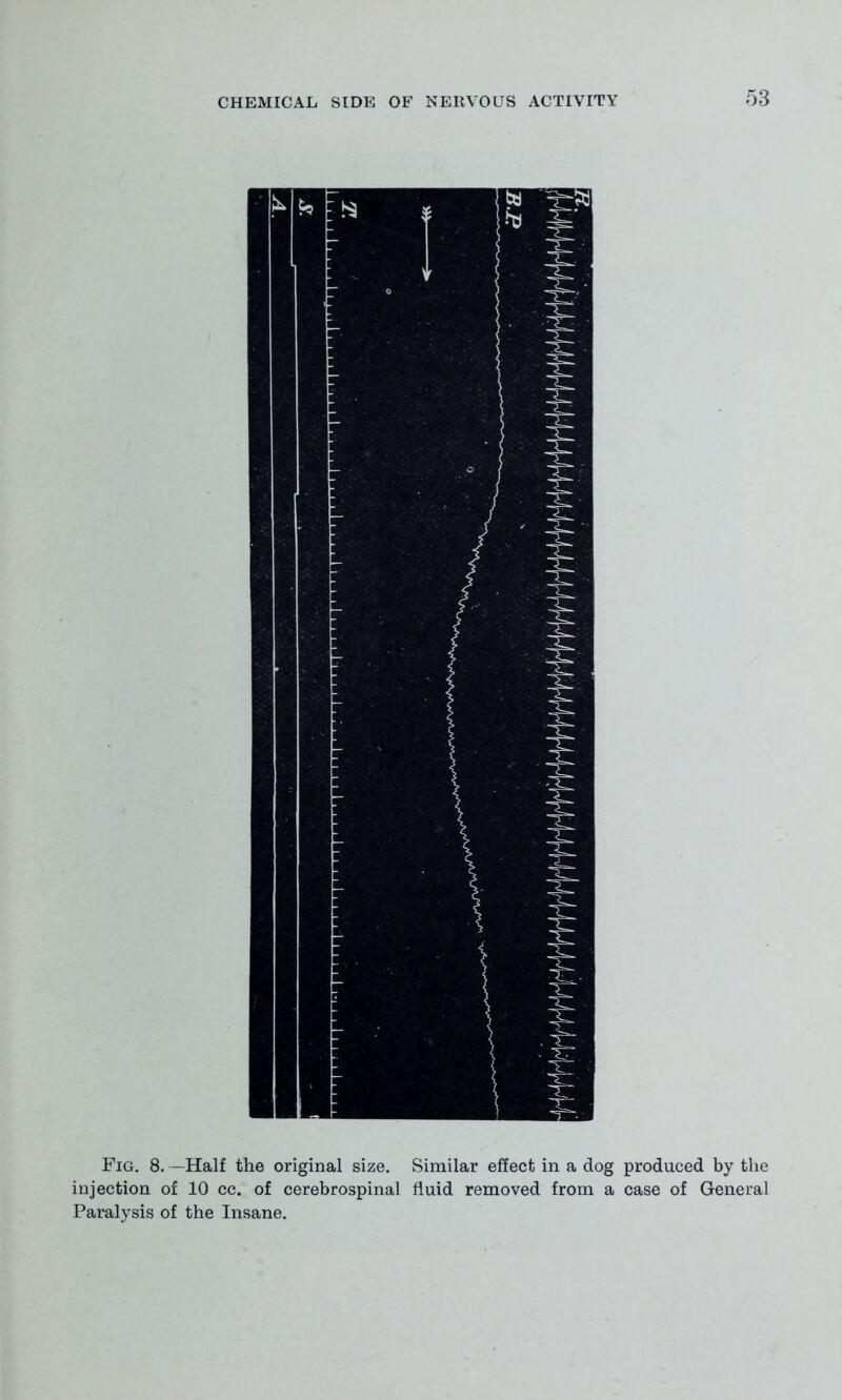 Fig. 8. —Half the original size. Similar effect in a dog produced by the injection of 10 cc. of cerebrospinal fluid removed from a case of General Paralysis of the Insane.