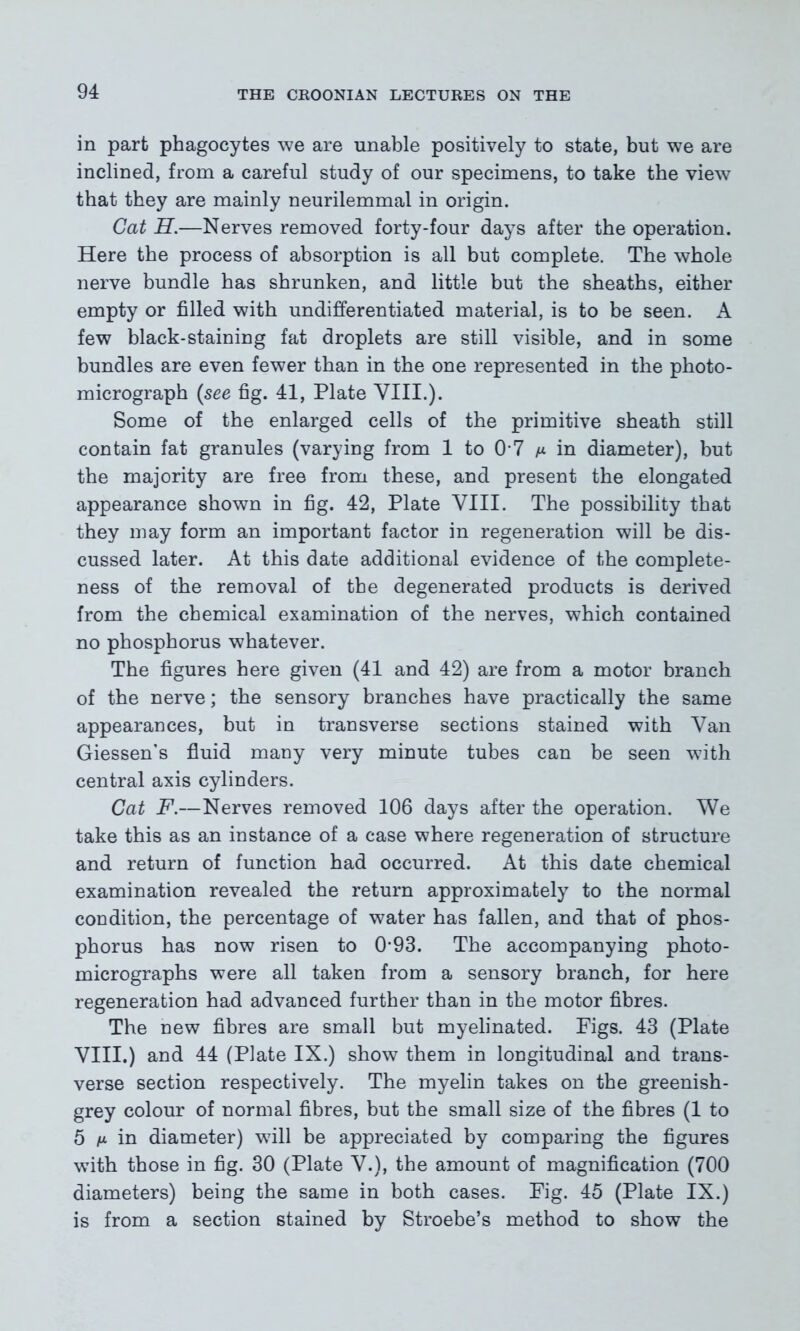 in part phagocytes we are unable positively to state, but we are inclined, from a careful study of our specimens, to take the view that they are mainly neurilemmal in origin. Cat H.—Nerves removed forty-four days after the operation. Here the process of absorption is all but complete. The whole nerve bundle has shrunken, and little but the sheaths, either empty or filled with undifferentiated material, is to be seen. A few black-staining fat droplets are still visible, and in some bundles are even fewer than in the one represented in the photo- micrograph (see fig. 41, Plate VIII.). Some of the enlarged cells of the primitive sheath still contain fat granules (varying from 1 to 0 7 in diameter), but the majority are free from these, and present the elongated appearance shown in fig. 42, Plate VIII. The possibility that they may form an important factor in regeneration will be dis- cussed later. At this date additional evidence of the complete- ness of the removal of the degenerated products is derived from the chemical examination of the nerves, which contained no phosphorus whatever. The figures here given (41 and 42) are from a motor branch of the nerve; the sensory branches have practically the same appearances, but in transverse sections stained with Van Giessen’s fluid many very minute tubes can be seen with central axis cylinders. Cat F.—Nerves removed 106 days after the operation. We take this as an instance of a case where regeneration of structure and return of function had occurred. At this date chemical examination revealed the return approximately to the normal condition, the percentage of water has fallen, and that of phos- phorus has now risen to 0-93. The accompanying photo- micrographs were all taken from a sensory branch, for here regeneration had advanced further than in the motor fibres. The new fibres are small but myelinated. Figs. 43 (Plate VIII.) and 44 (Plate IX.) show them in longitudinal and trans- verse section respectively. The myelin takes on the greenish- grey colour of normal fibres, but the small size of the fibres (1 to 5 n in diameter) will be appreciated by comparing the figures with those in fig. 30 (Plate V.), the amount of magnification (700 diameters) being the same in both cases. Fig. 45 (Plate IX.) is from a section stained by Stroebe’s method to show the