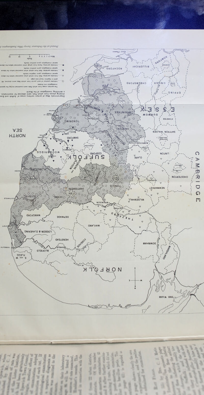 'I ^cnn?-upu() pj^p^rn?-^{ r~ 91 “T” Zl —I—I—I t 8 8 I 0 senW 9|«0*j5 ' s^nssj dAjijsod 9Aod 'uojteSiiseAUj lepeds dAOQB ei^; ejojeq peutujBXd us^A^ qoiqM ujoj| soj^h 'seqsued seieojpur' -s)|ns9J dAi^jsod dAeS 'uoi^eSjiseAUj letoeds eAoqe.eq) ajp^sq peufiUBxo U9q/A qajqM uioj; 'saqsued 69^90!pu|~~ 'Sqn69J 9Ai;e9eu 9asS 'uoDaSqsaAui leioads SAoqe 9q) 9JOj9q pauiuisxa uaqM qoiqM luoj^ s)ey 'saqsued S9)90!put~~ ( eSed 99s) )|ns9j gAjjeSau a 9A99 IIV pauieiqo 9J9m sjaa qoiq-vv ujoj^ qsued qoea p uoipsod sajeojpui *0 'papaqs aje uoi^eSi^saAUj }8jdads aq) fiuunp paujiuaxe aJ8M stay qaiqM uioj; saaua Xjeiiuas eqj. 'pjBog 9L{) uo|;Bdj)saAUj dujijuijjap -e 'uojiBuiiusxo joj pau!B;qo ©j©m sjBy qojqM uioj> S90B|d SujMoqs )S$3 pUB >||OJ^n9 SB9JB XjBJjUBS UIBpaO p ds^ OjJBUJUJBjSBjQ V3S HldON HinowavA j ^sai