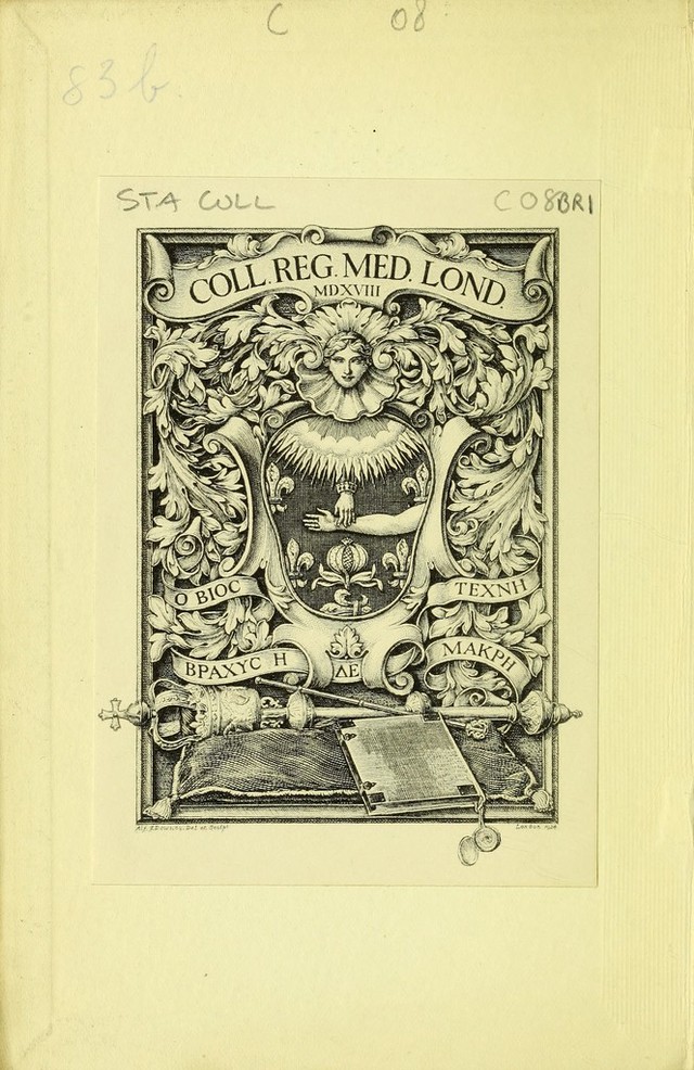 digitised image 2