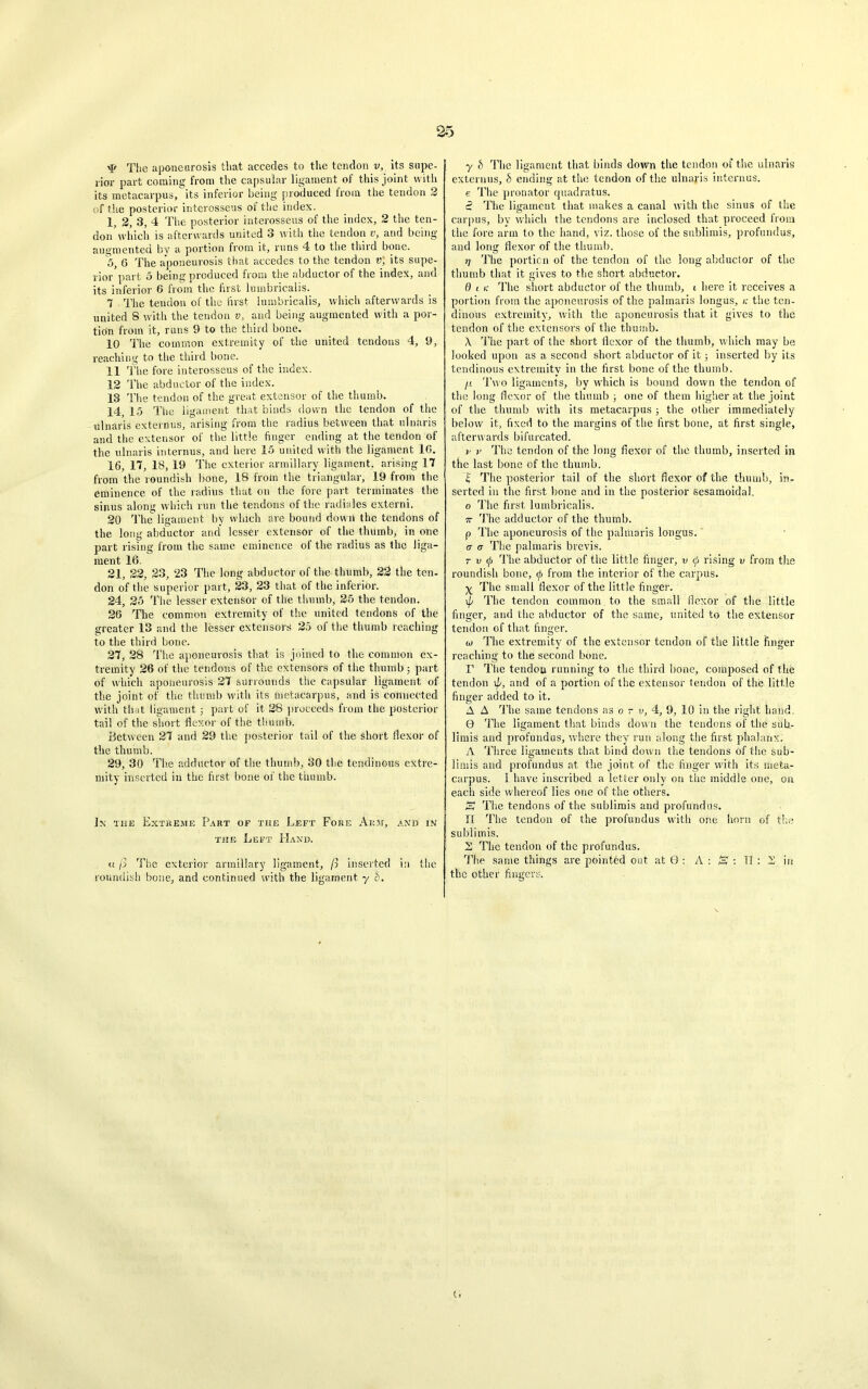 ■q* The aponeurosis that accedes to the tendon v, its supe- rior part coining from the capsular ligament of this joint with its metacarpus, its inferior being produced from the tendon 2 of the posterior interosseus of the index. 1, 2, 3, 4 The posterior interosseus of the index, 2 the ten- don* which is afterwards united 3 with the tendon v, and being- augmented bv a portion from it, runs 4 to the third bone. 5, 6 The aponeurosis that accedes to the tendon v, its supe- rior part 5 being produced from the abductor of the index, and its inferior 6 from the first lumbricalis. 7 The tendon of the first lumbricalis, which afterwards is united 8 with the tendon v, and being augmented with a por- tion from it, runs 9 to the third bone. 10 The common extremity of the united tendons 4, 9, reaching to the third bone. 11 The fore interosseus of the index. 12 The abductor of the index. 13 The tendon of the great extensor of the thumb. 14, 15 The ligament that binds down the tendon of the ulnaris externus, arising from the radius between that ulnaris and the extensor of the little finger ending at the tendon of the ulnaris interims, and here 15 united with the ligament 16. 16, 17, 18, 19 The exterior armillary ligament, arising 17 from the roundish bone, 18 from the triangular, 19 from the eminence of the radius that on the fore part terminates the sinus along which run the tendons of the radiales extend. 20 The ligament bv which are bound down the tendons of the long abductor and’ lesser extensor of the thumb, in one part rising from the same eminence of the radius as the liga- ment 16. 21, 22, 23, 23 The long abductor of the thumb, 22 the ten- don of the superior part, 23, 23 that of the inferior. 24, 25 The lesser extensor of the thumb, 25 the tendon. 26 The common extremity of the united tendons of the greater 13 and the lesser extensors 25 of the thumb reaching to the third bone. 27, 28 The aponeurosis that is joined to the common ex- tremity 26 of the tendons of the extensors of the thumb ; part of which aponeurosis 27 surrounds the capsular ligament of the joint of the thumb with its metacarpus, and is connected with that ligament 5 part of it 28 proceeds from the posterior tail of the short flexor of the thumb. Between 27 and 29 the posterior tail of the short flexor of the thumb. 29, 30 The adductor of the thumb, 30 the tendinous extre- mity inserted in the first bone of the thumb. lx the Extreme Part of the Left Fore Arm, and in the Left Hand. u ft The exterior armillary ligament, ft inserted in the roundish bone, and continued with the ligament y 5. y b The ligament that binds down the tendon of the ulnaris externus, h ending at the tendon of the ulnaris interims, e The pronator quadratus. e? The ligament that makes a canal with the sinus of the carpus, by which the tendons are inclosed that proceed from the fore arm to the hand, viz. those of the sublimis, profundus, and long flexor of the thumb. r\ The portion of the tendon of the long abductor of the thumb that it gives to the short abductor. Q i k The short abductor of the thumb, 1 here it receives a portion from the aponeurosis of the palmaris longus, /; the ten- dinous extremity, with the aponeurosis that it gives to the tendon of the extensors of the thumb. X The part of the short flexor of the thumb, which may be looked upon as a second short abductor of it; inserted by its tendinous extremity in the first bone of the thumb. jx Two ligaments, by which is bound down the tendon of the long flexor of the thumb ; one of them higher at the joint of the thumb with its metacarpus ; the other immediately below it, fixed to the margins of the first bone, at first single, afterwards bifurcated. v v The tendon of the long flexor of the thumb, inserted in the last bone of the thumb. £ The posterior tail of the short flexor of the thumb, in- serted in the first bone and in the posterior sesamoidal. o The first lumbricalis. 7r The adductor of the thumb. p The aponeurosis of the palmaris longus.' a a The palmaris brevis. t v 0 The abductor of the little finger, v $ rising v from the roundish bone, (f> from the interior of the carpus. X The small flexor of the little finger. if The tendon common , to the small flexor of the little finger, and the abductor of the same, united to the extensor tendon of that finger. w The extremity of the extensor tendon of the little finger reaching to the second bone. F The tendou running to the third bone, composed of the tendon 1p, and of a portion of the extensor tendon of the little finger added to it. A A The same tendons as 0 r v, 4, 9, 10 in the right hand. 0 The ligament that binds down the tendons of the stih- limis and profundus, where they run along the first phalanx. A Three ligaments that bind down the tendons of the sub- limis and profundus at the joint of the finger with its meta- carpus. I have inscribed a letter only on the middle one, on each side whereof lies one of the others. S The tendons of the sublimis and profundus. II The tendon of the profundus with one horn of the sublimis. 2 The tendon of the profundus. The same things are pointed oat at 0 : A : S : IT : 2 in the other fingers. t.