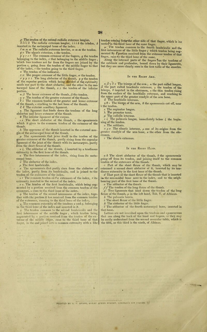 28 . g The, tendon of the second radialis externus longior. h i i i It The radialis externus longior, i i i k the tendon, It inserted in tire metacarpal bone of the index. I m n\ m The radialis externus. brevior, m m m the tendon. ft o The ul.naris externus, o .the tendon. p q r st The common extensor of the 'fingers, q the tendon belonging to the index, ;• that belonging to the middle finger; •which two tendons not far from the fingers are joined by the portion s, going from the tendon of the middle finger to that of the index, t the tendon going to the third finger. u The tendon of the indicator. v w The proper extensor of the little finger, tv the tendon. xyyzz The long abductor of the thumb, y y the tendon of the superior portion which being divided at the extremity sends one part to the short abductor, and the other to the me^ tacarpal bone of the thumb, z z the tendon of the inferior portion. a /3 The lesser extensor of the thumb, /3 the tendon. y y The tendon of the greater extensor of the thumb. h e The common tendon of the greater and lesser extensor of the thumb, e reaching to the last bone of the thumb. <? e? The exterior armillary ligament. ?/ The ligament that binds down the tendons of the long abductor and lesser extensor of the thumb. 0 The interior ligament of the carpus. 1 k .The short abductor of the thumb, k the aponeurosis which it gives to the common tendon of the extensor'of the thumb. X The opponens of the thumb inserted in the external mar- gin of the metacarpal bone of the thumb. ia rlhe aponeurosis that joins itself to the tendon of the greater extensor of the thumb, partly rising from the capsular ligament of the joint of the thumb with its metacarpus, partly from the short flexor of the thumb. v £ The adductor of the thumb, £ inserted by a tendinous extremity in the first bone of the thumb. o The fore interosseus of the index, rising from its meta- carpal bone. 7t Thp abductor of the index. p The first lumbricalis. a The aponeurosis that partly rises from the abductor of the index, partly from its lumbricalis, and is joined to the tendon of the extensors of the index. s v The common tendon of. the extensors of the index, v its extremity inserted in the second of the index. t v The tendon of the first lumbricalis, which being aug- mented by a portion received from the common tendon of the extensors, u runs to the third bone of the index. (p The tendon of the second interosseus of the index, toge- ther with the portion it has received from the common tendon of the extensors, running to the third bone of the index. ^ The common extremity of the tendons v and <p, belonging to the third bone of the index and inserted in it. The tendon common to the second lumbricalis and the first interosseus of the middle finger ; which tendon being augmented by a portion received from the tendon of the ex- tensor of the middle finger, runs to the third bone of that finger, in the end joined into a common extremity with a like tendon ctfming from*the other side of that finger, which is in- serted*in the-third bone of the same finger. ^ The tendon common to the fourth lumbricalis and the first interosseus of the little finger; which tendon being aug- mented by S portion received from the extensor tendon of that finger, runs to the third bone of the same. ’ Along the internal parts of the fingers run the tendons of the sublimis and profundus, bound down by their ligaments, but they are more clearly seen in the first table of the muscles. In the Right Akm. a (3 y b e The triceps of the arm ; a the part called longus, (3 the part called brachialis externus, y the tendon of the triceps, b inserted in the olecranon, e the thin tendon rising from the surface of the brachialis externus, and reaching to the upper part of the greater condyle of the arm bone. $ The brachialis internus. V 6 1 The biceps of the arm, 6 the aponeurosis cut off, near i the tendon. k The supinator longus. X The pronator teres. p Th.e radialis internus. v £ The palmaris longus, immediately below £ the begin- ning of the tendon. o The sublimis. tt p <r The ulnaris internus, p one of its origins from the greater condyle of the arm bone, a- the other from the ole- cranon. r The ulnaris externus. In the Right Hand. a It The short abductor of the thumb, b the aponeurosis going off from its tendon, and joining itself to the common tendon of the extensors of the thumb. a Part of the short flexor of the thumb, which may be esteemed a second short abductor of it, inserted by its ten- dinous extremity in the first bone of the thumb. d That part of the short flexor of the thumb that is inserted ilk the sesamoidal bone next to the index, and to the neigh- bouring part of the first bone of the thumb. e The adductor of the thumb. ff The tendon of the long flexor of the thumb. g Two ligaments that bind down the tendon of the long flexor of the thumb, p in the left hand, Tab. V. of Albinus. k The palmaris brevis, i The short flexor of the little finger. It The abductor of the little finger. / The adductor of the fourth metacarpal bone, inserted in that bone. Letters are not inscribed upon the tendons and aponeuroses that run along the back of the hand and fingers, as they may be easily understood from the second muscular table, which is the fifth, as this third is the ninth, of Albinus. PBtMTLO in c. V. EVANS, GREAT QUEEN STREET, LINCOLN’S INN MBI.KS.