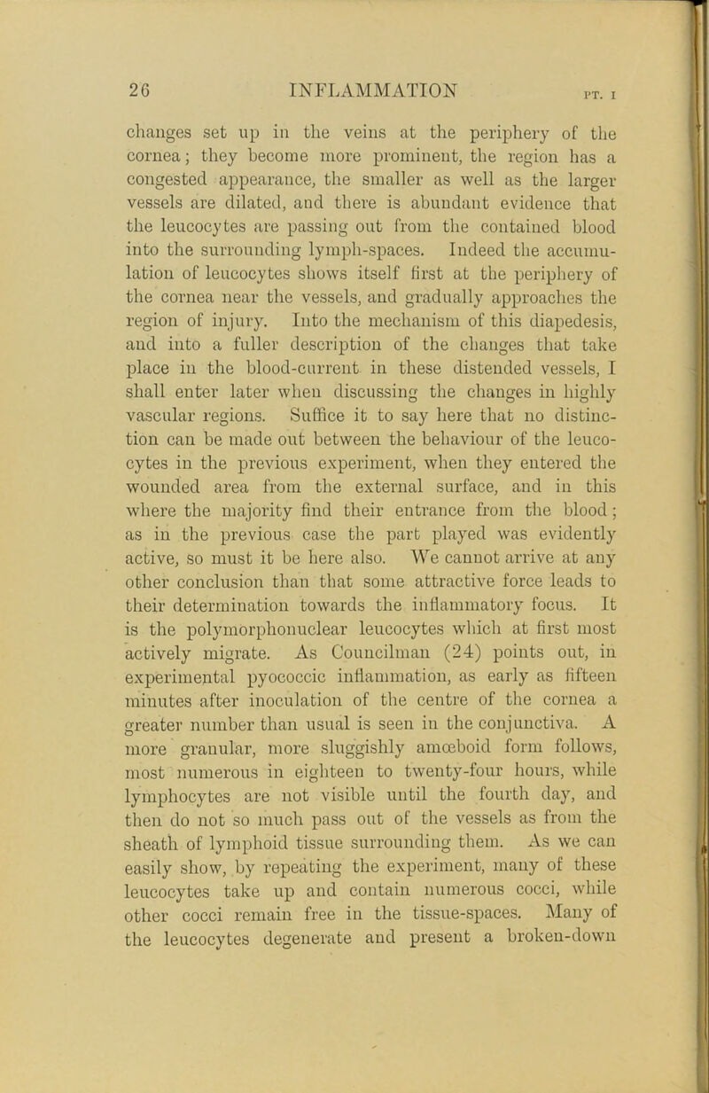 I’T. I changes set up in the veins at the periphery of the cornea; they become more prominent, the region has a congested appearance, the smaller as well as the larger vessels are dilated, and there is abundant evidence that the leucocytes are passing out from the contained blood into the surrounding lymph-spaces. Indeed the accumu- lation of leucocytes shows itself first at the periphery of the cornea near the vessels, and gradually approaches the region of injury. Into the mechanism of this diapedesis, and into a fuller description of the changes that take place in the blood-current in these distended vessels, I shall enter later when discussing the changes in highly vascular regions. Suffice it to say here that no distinc- tion can be made out between the behaviour of the leuco- cytes in the previous experiment, when they entered the wounded area from the external surface, and in this where the majority find their entrance from the blood; as in the previous case the part played was evidently active, so must it be here also. We canuot arrive at any other conclusion than that some attractive force leads to their determination towards the inflammatory focus. It is the polymorphonuclear leucocytes which at first most actively migrate. As Councilman (24) points out, in experimental pyococcic inflammation, as early as fifteen minutes after inoculation of the centre of the cornea a greater number than usual is seen in the conjunctiva. A more granular, more sluggishly amceboid form follows, most numerous in eighteen to twenty-four hours, while lymphocytes are not visible until the fourth day, and then do not so much pass out of the vessels as from the sheath of lymphoid tissue surrounding them. As we can easily show, by repeating the experiment, many of these leucocytes take up and contain numerous cocci, while other cocci remain free in the tissue-spaces. Many of the leucocytes degenerate and present a broken-down