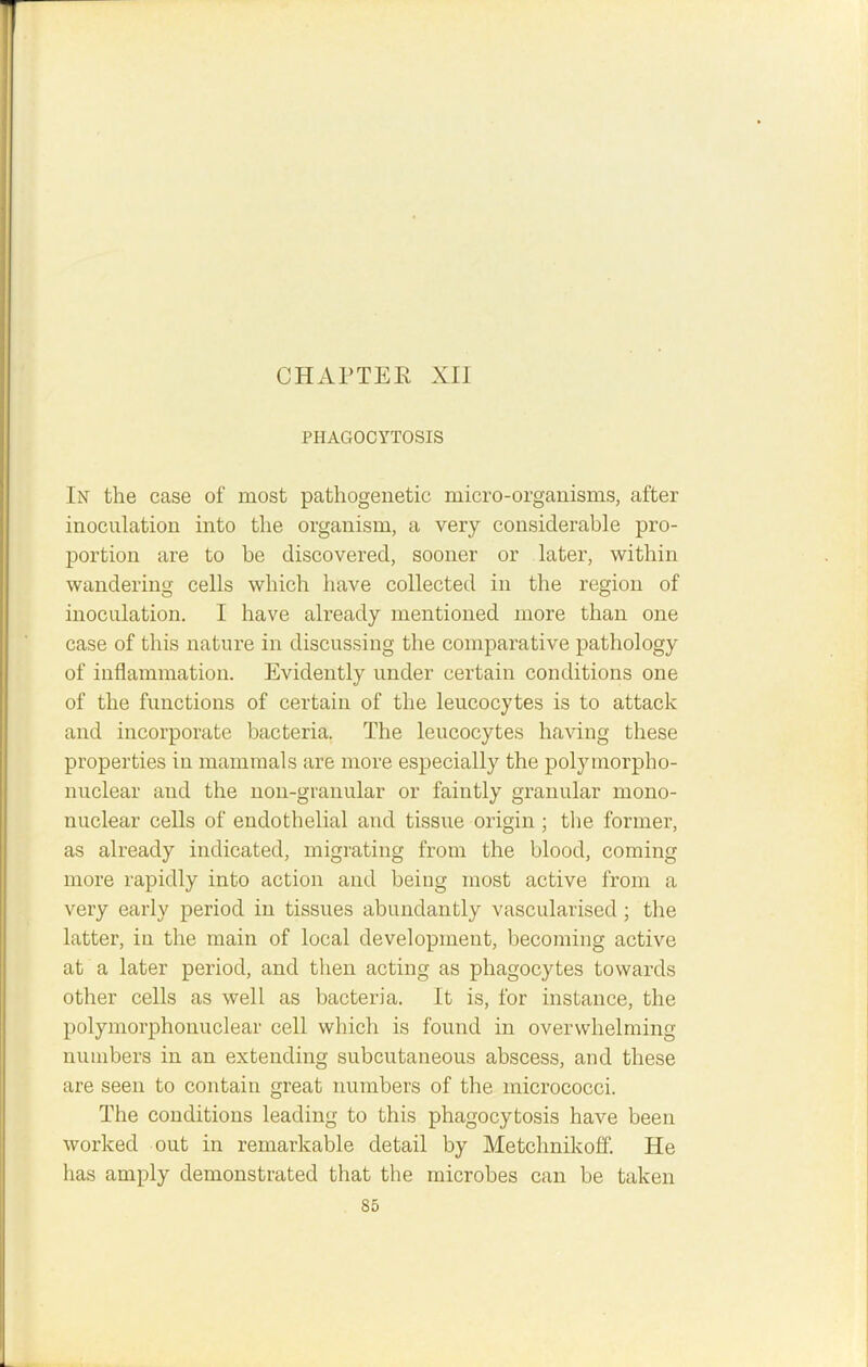 PHAGOCYTOSIS In the case of most pathogenetic micro-organisms, after inoculation into the organism, a very considerable pro- portion are to be discovered, sooner or later, within wandering cells which have collected in the region of inoculation. I have already mentioned more than one case of this nature in discussing the comparative pathology of inflammation. Evidently under certain conditions one of the functions of certain of the leucocytes is to attack and incorporate bacteria. The leucocytes having these properties in mammals are more especially the polymorpho- nuclear and the non-granular or faintly granular mono- nuclear cells of endothelial and tissue origin ; the former, as already indicated, migrating from the blood, coming more rapidly into action and being most active from a very early period in tissues abundantly vascularised ; the latter, in the main of local development, becoming active at a later period, and then acting as phagocytes towards other cells as well as bacteria. It is, for instance, the polymorphonuclear cell which is found in overwhelming numbers in an extending subcutaneous abscess, and these are seen to contain great numbers of the micrococci. The conditions leading to this phagocytosis have been worked out in remarkable detail by Metchnikoff. He has amply demonstrated that the microbes can be taken S5