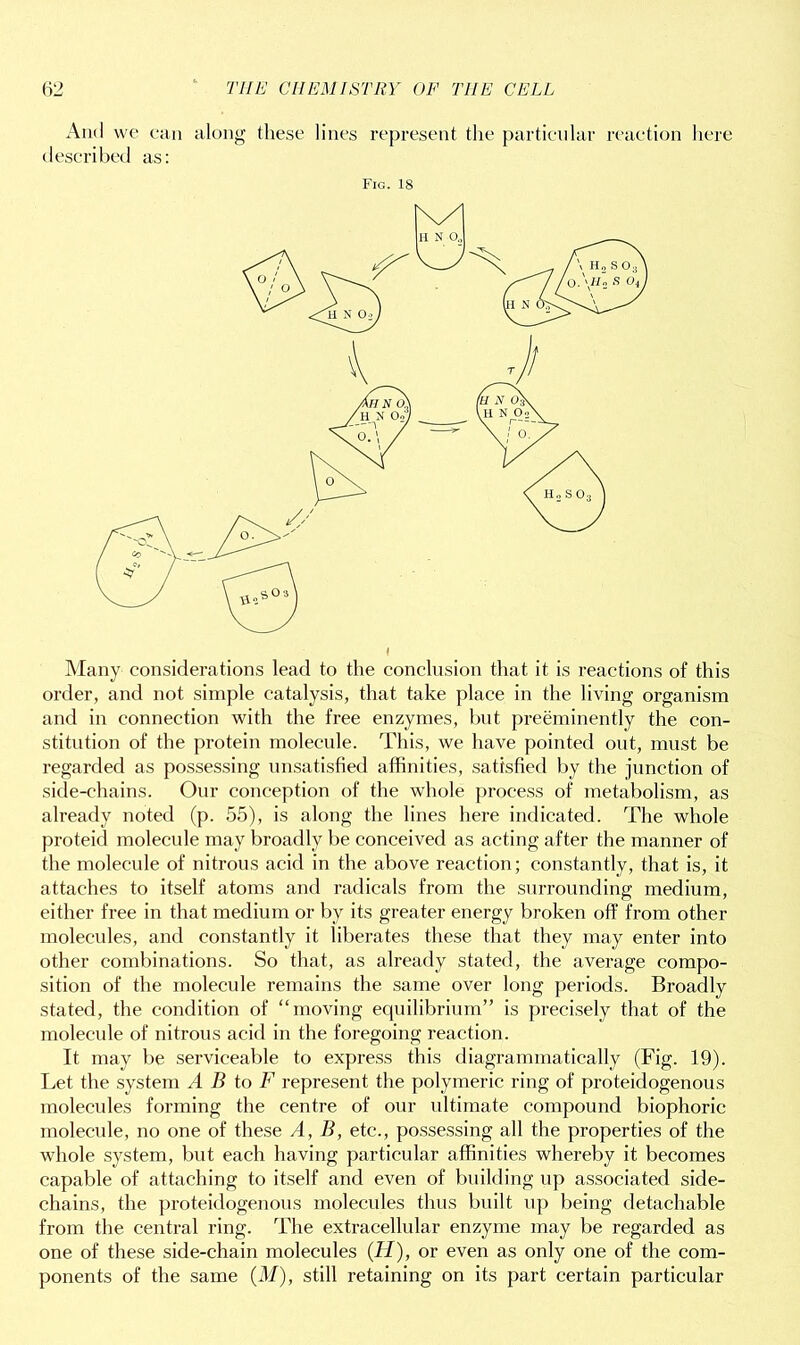 And we can along these lines represent the particular reaction here described as: Fig. 18 Many considerations lead to the conclusion that it is reactions of this order, and not simple catalysis, that take place in the living organism and in connection with the free enzymes, but preeminently the con- stitution of the protein molecule. This, we have pointed out, must be regarded as possessing unsatisfied affinities, satisfied by the junction of side-chains. Our conception of the whole process of metabolism, as already noted (p. 55), is along the lines here indicated. The whole proteid molecule may broadly be conceived as acting after the manner of the molecule of nitrous acid in the above reaction; constantly, that is, it attaches to itself atoms and radicals from the surrounding medium, either free in that medium or by its greater energy broken off from other molecules, and constantly it liberates these that they may enter into other combinations. So that, as already stated, the average compo- sition of the molecule remains the same over long periods. Broadly stated, the condition of “moving equilibrium” is precisely that of the molecule of nitrous acid in the foregoing reaction. It may be serviceable to express this diagrammatically (Fig. 19). Let the system A B to F represent the polymeric ring of proteidogenous molecules forming the centre of our ultimate compound biophoric molecule, no one of these A, B, etc., possessing all the properties of the whole system, but each having particular affinities whereby it becomes capable of attaching to itself and even of building up associated side- chains, the proteidogenous molecules thus built up being detachable from the central ring. The extracellular enzyme may be regarded as one of these side-chain molecules (H), or even as only one of the com- ponents of the same (M), still retaining on its part certain particular