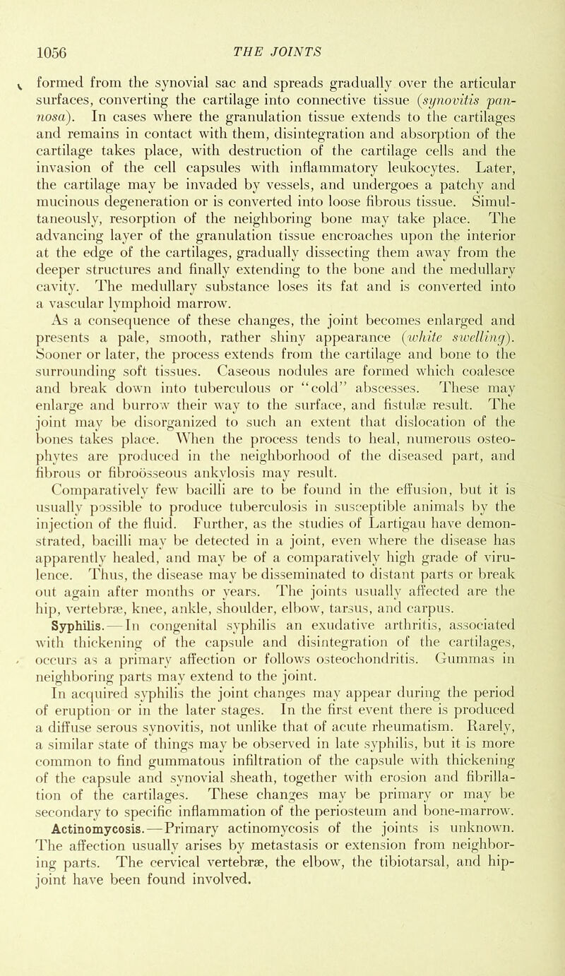 formed from the synovial sac and spreads gradually over the articular surfaces, converting the cartilage into connective tissue (synovitis pan- nosa). In cases where the granulation tissue extends to the cartilages and remains in contact with them, disintegration and absorption of the cartilage takes place, with destruction of the cartilage cells and the invasion of the cell capsules with inflammatory leukocytes. Later, the cartilage may be invaded by vessels, and undergoes a patchy and mucinous degeneration or is converted into loose fibrous tissue. Simul- taneously, resorption of the neighboring bone may take place. The advancing layer of the granulation tissue encroaches upon the interior at the edge of the cartilages, gradually dissecting them away from the deeper structures and finally extending to the bone and the medullary cavity. The medullary substance loses its fat and is converted into a vascular lymphoid marrow. As a consequence of these changes, the joint becomes enlarged and presents a pale, smooth, rather shiny appearance (white swelling). Sooner or later, the process extends from the cartilage and bone to the surrounding soft tissues. Caseous nodules are formed which coalesce and break down into tuberculous or “cold” abscesses. These may enlarge and burrow their way to the surface, and fistuhe result. The joint may be disorganized to such an extent that dislocation of the bones takes place. When the process tends to heal, numerous osteo- phytes are produced in the neighborhood of the diseased part, and fibrous or fibroosseous ankylosis may result. Comparatively few bacilli are to be found in the effusion, but it is usually possible to produce tuberculosis in susceptible animals by the injection of the fluid. Further, as the studies of Lartigau have demon- strated, bacilli may be detected in a joint, even where the disease has apparently healed, and may be of a comparatively high grade of viru- lence. Thus, the disease may be disseminated to distant parts or break out again after months or years. The joints usually affected are the hip, vertebrae, knee, ankle, shoulder, elbow, tarsus, and carpus. Syphilis.—-In congenital syphilis an exudative arthritis, associated with thickening of the capsule and disintegration of the cartilages, occurs as a primary affection or follows osteochondritis. Gummas in neighboring parts may extend to the joint. In acquired syphilis the joint changes may appear during the period of eruption or in the later stages. In the first event there is produced a diffuse serous synovitis, not unlike that of acute rheumatism. Rarely, a similar state of things may be observed in late syphilis, but it is more common to find gummatous infiltration of the capsule with thickening of the capsule and synovial sheath, together with erosion and fibrilla- tion of the cartilages. These changes may be primary or may be secondary to specific inflammation of the periosteum and bone-marrow. Actinomycosis.—Primary actinomycosis of the joints is unknown. The affection usually arises by metastasis or extension from neighbor- ing parts. The cervical vertebrae, the elbow, the tibiotarsal, and hip- joint have been found involved.