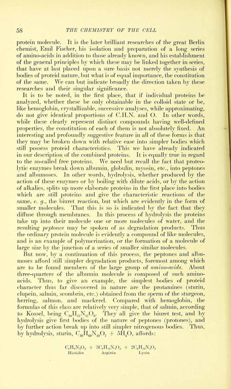 protein molecule. It is the later brilliant researches of the great Berlin chemist, Emil Fischer, his isolation and preparation of a long series of amino-acids in addition to those already known, and his establishment of the general principles by which these may be linked together in series, that have at last placed upon a sure basis not merely the synthesis of bodies of proteid nature, but what is of equal importance, the constitution of the same. We can but indicate broadly the direction taken by these researches and their singular significance. It is to be noted, in the first place, that if individual proteins be analyzed, whether these be only obtainable in the colloid state or be, like hemoglobin, crystallizable, successive analyses, while approximating, do not give identical ])roportions of C.H.N. and O. In other words, while these clearly represent distinct compounds having well-defined properties, the constitution of each of them is not absolutely fixed. An interesting and profoundly suggestive feature in all of these forms is that they may be broken down with relative ease into simpler bodies which still possess proteid characteristics. This we have already indicated in our description of the combined proteins. It is ecjually true in regard to the so-called free proteins. We need but recall the fact that proteo- lytic enzymes l)reak down all)umin, globulin, myosin, etc., into peptones and albumoses. In other words, hydrolysis, whether produced by the action of these enzymes or by boiling with dilute acids, or by the action of alkalies, splits up more elaborate proteins in the first place into bodies which are still proteins and give the characteristic reactions of the same, e. (j., the biuret reaction, l)ut which are evidently in the form of smaller molecules. That tins is so is indicated by the fact that they diffuse through meml)ranes. In this process of hydrolysis the proteins take up into their molecule one or more molecules of water, and the resulting peptones may be spoken of as degradation products. Thus the ordinary protein molecule is evidently a compound of like molecules, and is an example of polymerization, or the formation of a molecule of large size by the junction of a series of smaller similar molecules. But now, by a continuation of this process, the peptones and albu- moses afford still sim})ler degradation products, foremost among which are to be found members of the large group of amino-acids. About three-fjuarters of the all)umin molecule is composed of such amino- acids. Thus, to give an example, the simjjlest bodies of proteid character thus far discovered in nature are the protamines (sturin, clupein, salmin, scombrin, etc.) obtained from the s])erm of the sturgeon, herring, salmon, and mac'kerel. Compared with hemoglol)in, the formulas of this class are relatively very simple, that of salmin, according to Kossel, being CgJI^N^Og. They all give the Iffuret test, and by hydrolysis give first bodies of the nature of pej)tones (protones), and by further action break uj) into still simpler nitrogenous bodies. Thus, by hydrolysis, sturin, CggllggN^gOj + SHgO, affords: CoH.NsO, + 3CJI„N,0, + 2Cdb,N,0, Histidin Arginin Lysin