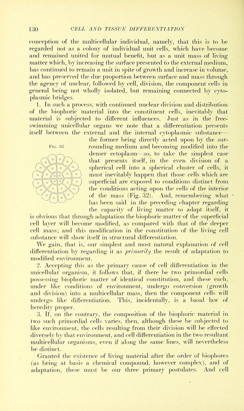 conception of tlie mnlticellnlar individual, namely, that this is to be regarded not as a colony of individnal unit cells, which have l)ecoine and remained nnitetl for mutual benefit, but as a unit mass of living matter which, l>y increasing the surface presented to the external medium, has continued to remain a unit in spite of growth and increase in volume, and has preserved the due proportion between surface and mass through the agency of nuclear, followed by cell, division, the component cells in general feeing not wholly isolated, but remaining connected by cyto- plasmic bridges. 1. In such a process, with continued nuclear division and (listril)ution of the biophoric material into the constituent cells, inevitably that material is sul)jected to different influences. Just as in the free- swimming unicellular organs we note that a differentiation presents itself between the external and the internal cytoplasmic substance— the former f)eing directly acted upon by the sur- Fig- 32 rounding medium and l)ecoming modified into the denser ectoplasm—so, to take the simplest case that presents itself, in the even division of a spherical cell into a sj>herical cluster of cells, it must inevitably happen that those cells which are superficial are exposed to conditions distinct from the conditions acting upon the cells of the interior of the mass (Fig. 32). And, remembering what ' has been said in the preceding cha])ter regarding the capacity of living matter to adapt itself, it is obvious that through adaptation the biophoric matter of the superficial cell layer will become modified, as compared with that of the deeper cell mass; and this modification in the constitution of the living cell substance will show itself in structural differentiation. W e gain, that is, our simplest and most natural explanation of cell differentiation l)y regarding it as priimtrilti the result of adaptation to modified environment. 2. Accepting this as the primary cause of cell differentiation in the unicellular organism, it follows that, if there be two primordial cells possessing biophoric matter of identical constitution, and these each, under like conditions of environment, undergo conversion (growth and division) into a multicellular mass, then the component cells will undergo like differentiation. J'his, incidentally, is a l)asal law of heredity proper. 3. If, on the contrary, the composition of the biophoric material in two such ()rimordial cells varies, then, although these be sul)jected to like environment, the cells resnlting from their division will be effected diversely by that environment, and cell differentiation in the two resultant multicellular organisms, even if along the same lines, will nevertheless be distinct. Granted the existence of living material after the order of biophores (as being at basis a chemical compound, however complex), and of adaptation, these must be our three primary postulates. And cell