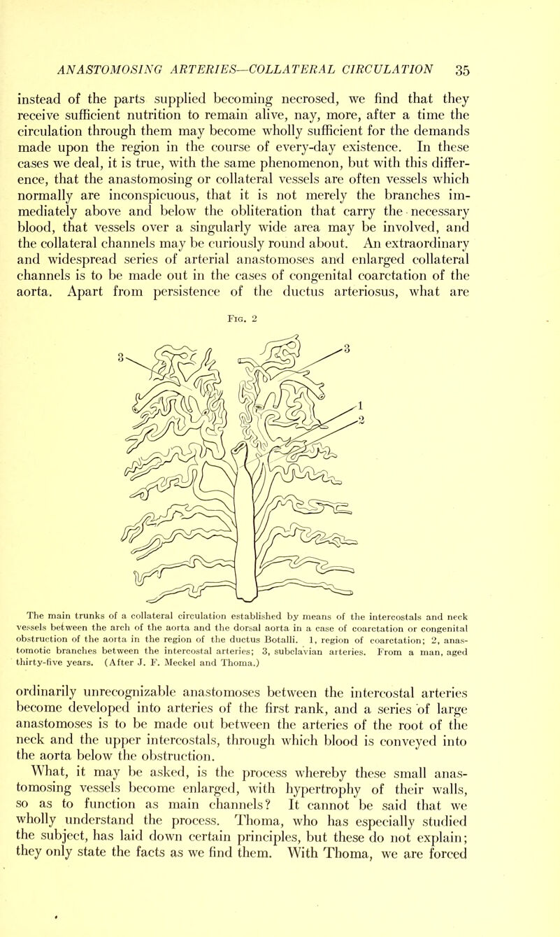 instead of the parts supplied becoming necrosed, we find that they receive sufficient nutrition to remain alive, nay, more, after a time the circulation through them may become wholly sufficient for the demands made upon the region in the course of every-day existence. In these cases we deal, it is true, with the same phenomenon, but with this differ- ence, that the anastomosing or collateral vessels are often vessels which normally are inconspicuous, that it is not merely the branches im- mediately above and below the obliteration that carry the necessary blood, that vessels over a singularly wide area may be involved, and the collateral channels may be curiously round about. An extraordinary and widespread series of arterial anastomoses and enlarged collateral channels is to be made out in the cases of congenital coarctation of the aorta. Apart from persistence of the ductus arteriosus, what are Fig. 2 The main trunks of a collateral circulation established by means of the intercostals and neck vessels between the arch of the aorta and the dorsal aorta in a case of coarctation or congenital obstruction of the aorta in the region of the ductus Botalli. 1, region of coarctation; 2, anas- tomotic branches between the intercostal arteries; 3, subclavian arteries. From a man, aged thirty-five years. (After J. F. Meckel and Thoma.) ordinarily unrecognizable anastomoses between the intercostal arteries become developed into arteries of the first rank, and a series of large anastomoses is to be made out between the arteries of the root of the neck and the upper intercostals, through which blood is conveyed into the aorta below the obstruction. What, it may be asked, is the process whereby these small anas- tomosing vessels become enlarged, with hypertrophy of their walls, so as to function as main channels? It cannot be said that we wholly understand the process. Thoma, who has especially studied the subject, has laid down certain principles, but these do not explain; they only state the facts as we find them. With Thoma, we are forced