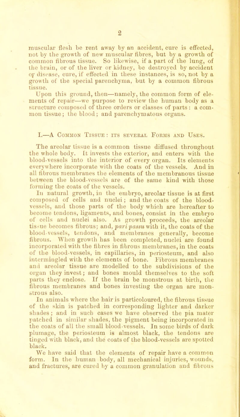 muscular flesh be rent away by an accident, cure is eflfected, not by the growth of new muscular fibres, but by a growth of common fibrous tissue. So likewise, if a part of the lung, of the brain, or of the liver or kidney, be destroyed by accident oy disease, cure, if effected in these instances, is so, not by a growth of the special parenchyma, but by a common fibrous tissue. Upon this ground, then—namely, the common form of ele- ments of repair—we purpose to review the human body as a structure composed of three orders or classes of parts : a com- mon tissue; the blood; and parenchymatous organs. I.—A Common Tissue : its several Forms and Uses. The areolar tissue is a common tissue diffused throughout the wliole body. It invests the exterior, and enters with the blood-vessels into the interior of every organ. Its elements everywhere incorpoiate with the coats of the vessels. And in all fibrous membranes the elements of the membranous tissue between the blood-vessels are of the same kind with those forming the coats of the vessels. In natural growth, in the embryo, areolar tissue is at first composed of cells and nuclei; and the coats of the blood- vessels, and those parts of the body which are hereafter to become tendons, ligaments, and bones, consist in the embryo of cells and nuclei also. As growth proceeds, the areolar tiS'Ue becomes fibrous; and, pari passu with it, the coats of the blood-vessels, tendons, and membranes generally, become fibrous. When growth has been completed, nuclei are found incorporated with the fibres in fibrous membranes, in the coats of the blood-vessels, in capillaries, in periosteum, and also intermingled with the elements of bone. Fibrous membranes and areolar tissue are modelled to the subdivisions of the organ they invest; and bones mould themselves to the soft parts they enclose. If the brain be monstrous at birth, the fibrous membranes and bones investing the organ are mon- otrous also. In animals where the hair is particoloured, the fibrous tissue of the skin is patched in corresponding lighter and darker shades; and in such cases we have observed the pia mater jtatched in similar shades, the pigment being incorporated in the coals of all the small blood-vessels. In some birds of dark plumage, the periosteum is almost black, the tendons are tinged with black, and the coats of the blood-vessels are spotted black. We have said that the elements of repair have a common form. In the human body, all mechanical injuries, wounds, and fractures, are cured by a common granulation and fibrous