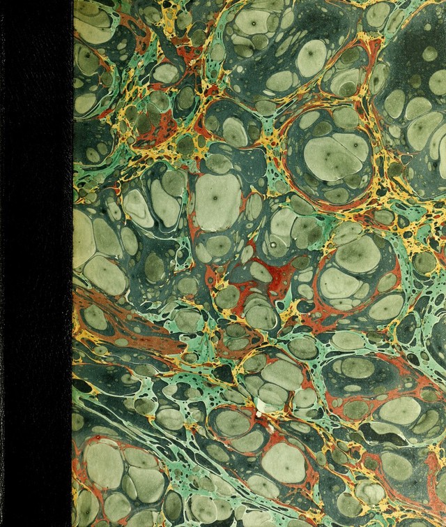 No text description is available for this image