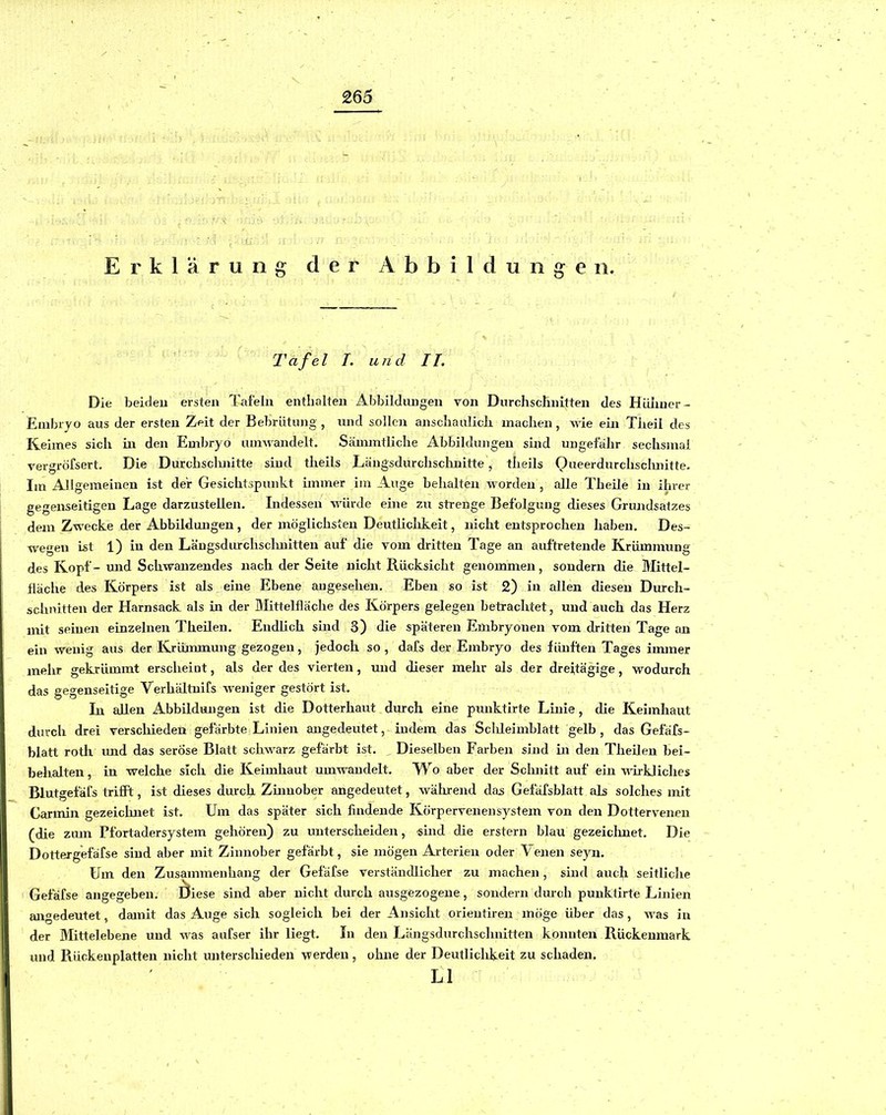 Erklärung der Abbildungen. Tafel L und II. Die beiden ersten Tafeln enthalten Abbildungen von Durchschnitten des Hühner- Embryo aus der ersten Zeit der Bebrütung, und sollen anschaulich machen, wie ein Tiieil des Keimes sich in den Embryo umwandelt. Sämmtliche Abbildungen sind ungefähr sechsmal vergröfsert. Die Durchsclmitte sind theils Läugsdurchschnitte, theils Queerdurchschnitte. Im Allgemeinen ist der Gesichtspunkt immer im Auge behalten worden , alle Theile in ihrer gegenseitigen Lage darzustellen. Indessen würde eine zu strenge Befolgung dieses Grundsatzes dem Zwecke der Abbildungen, der möglichsten Deutliclikeit, nicht entsprochen haben. Des- wegen ist 1) in den Längsdurchsclmitten auf die vom dritten Tage an auftretende Krümmung des Kopf- mid Schwanzendes nach der Seite nicht Rücksicht genommen, sondern die Mittel- fläche des Körpers ist als eine Ebene angesehen. Eben so ist 2) in allen diesen Dmch- schnitten der Harnsack als in der Mittelfläche des Körpers gelegen betrachtet, und auch das Herz mit seinen einzelnen Theilen. Endlich sind 3) die späteren Embryonen vom dritten Tage an ein wenig aus der Krümmung gezogen, jedoch so, dafs der Embryo des fünften Tages immer mehr gekrümmt erscheint, als der des vierten, mid dieser mehr als der dreitägige, wodurch das gegenseitige Verhältuifs weniger gestört ist. In allen Abbildungen ist die Dotterhaut dmch eine punktirte Linie, die Keimhaut durch drei verschieden gefärbte Linien angedeutet, indem das Sclileimblatt gelb , das Gefäfs- blatt roth imd das seröse Blatt schwarz gefärbt ist. , Dieselben Farben sind in den Theilen bei- behalten, in welche sich die Keimhaut umwandelt. Wo aber der Sclmitt auf ein wirkliches Blutgefäfs trifft, ist dieses durch Zinnober angedeutet, während das Gefäfsblatt als solches mit Carmin gezeichnet ist. Um das später sich findende Körpervenensystem von den Dottervenen (die zmn Pfortadersystem gehören) zu unterscheiden, sind die erstem blau gezeiclmet. Die Dottergefäfse sind aber mit Zinnober gefärbt, sie mögen Arterien oder V enen seyn. Um den Zusammenhang der Gefäfse verständlicher zu machen, sind auch seitliche Gefäfse angegeben. Öiese sind aber nicht durch ausgezogene, sondern dm-ch punktirte Linien angedeutet, damit das Auge sich sogleich bei der Aiisicht orieutireu möge über das, was in der Mittelebene und was aufser ihr liegt. In den Längsdurchschnitten konnten Rückenmark und Rückenplatten nicht unterschieden werden, ohne der Deutlichkeit zu schaden. LI