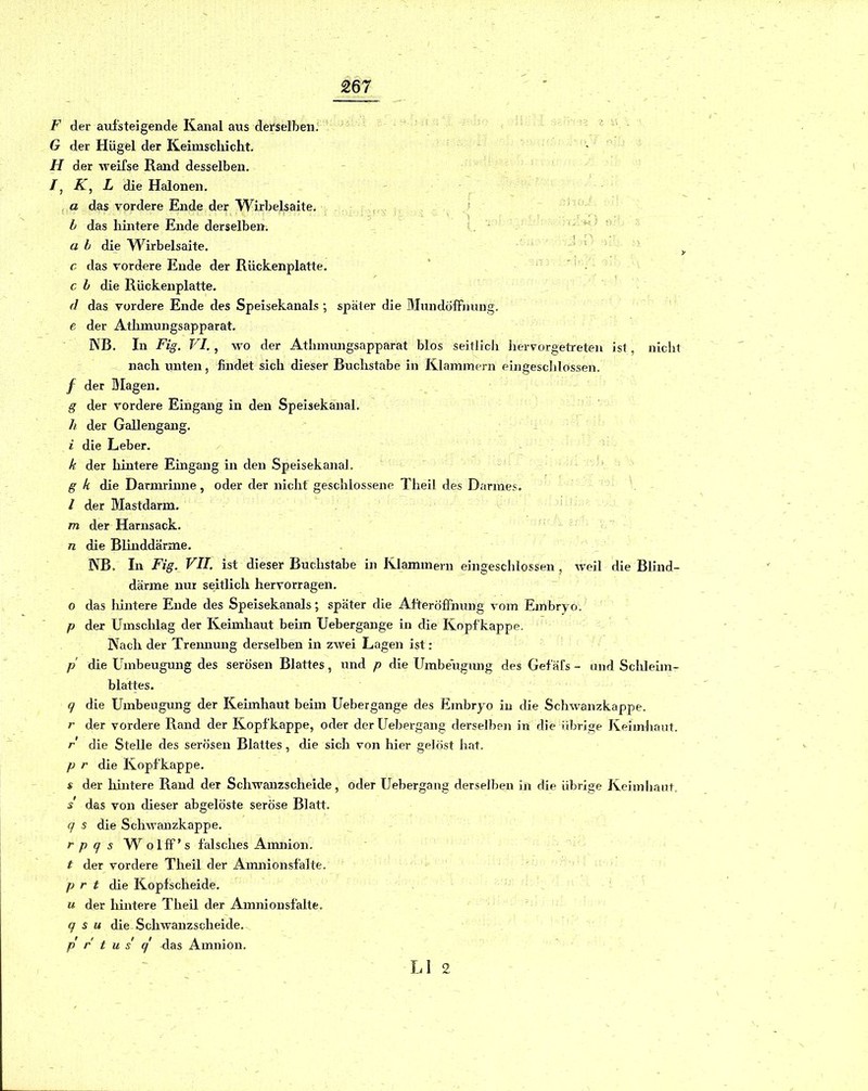 F der aufsteigende Kanal aus defselben.' G der Hügel der Keimsclxicht. FI der weifse Rand desselben. /, L die Halonen. a das vordere Ende der Wirbelsaite. ' b das hintere Ende derselben. t. ' ~ a b die Wirbelsaite. ' c das vordere Ende der Rückenplatte. ‘ ' - c b die Rückenplatte. d das vordere Ende des Speisekanals ; später die Mundoffimng. e der Athmungsapparat. NB. In Fig. VI., wo der Athmungsapparat blos seitlicli liervorgetreten ist, nicht nach unten, findet sich dieser Buchstabe in Klammern eingescldossen. / der Magen, g der vordere Eingang in den Speisekanal. h der Gallengang. i die Leber. k der hintere Eingang in den Speisekanal. g k die Darmrinne, oder der nichf geschlossene Tlieil des Darmes. / der Mastdarm, m der Harnsack. n die Blinddärme. NB. In Fig. VII. ist dieser Buchstabe in Klammern eingeschlossen, weil die Blind- därme nur seitlich hervorragen. o das liintere Ende des Speisekanals; später die Afteröffnung vom Embryo. p der Umschlag der Keimhaut beim Uebergange in die Kopfkappe. Nach der Tremiung derselben in zwei Lagen ist: p die ümbeugung des serösen Blattes, und p die Umbeugung des Gefäfs - und Schleim- blattes. q die Umbeugung der Keimhaut beim Uebergange des Embryo in die Schwanzkappe. ;• der vordere Rand der Kopfkappe, oder derUebergang derselbeji in die übrige Keimhaut. r die Stelle des serösen Blattes, die sich von hier gelöst hat. p r die Kopfkappe. s der hintere Rand der Schwanzscheide, oder Uebergang derselben in die übrige Keimliant. s das von dieser abgelöste seröse Blatt. q s die Schwanzkappe. r p q s yV olff’s falsches Aimiion. t der vordere Theil der Aimiionsfalte. p r t die Kopfscheide. u der liintere Theil der Amnionsfalte. q s u die Schwanzscheide. p' r t u s q' das Amnion. LI 2
