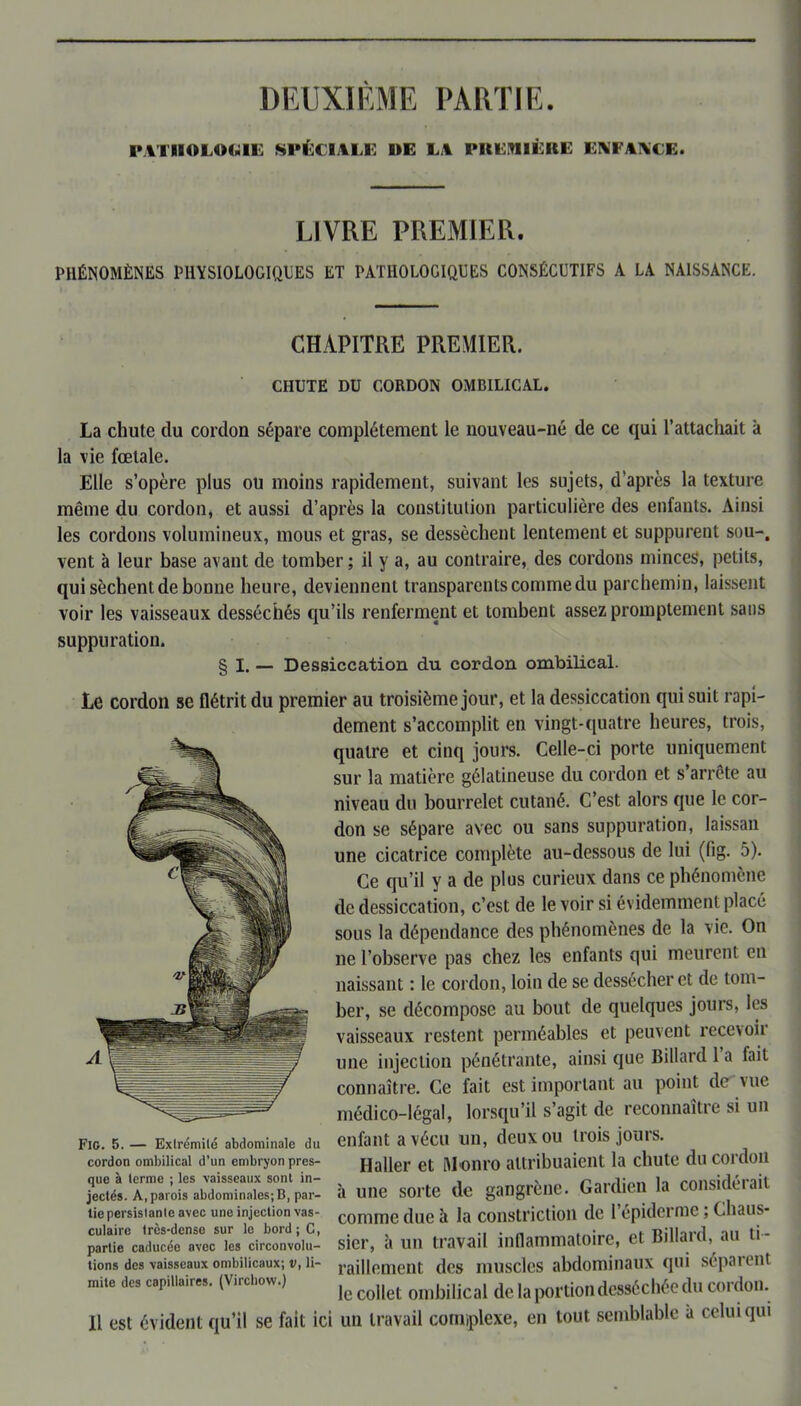 DEUXIÈME PARTIE. PATHOLOGIE SPÉCIALE OE LA PREMIÈRE ENFANCE. LIVRE PREMIER. PHÉNOMÈNES PHYSIOLOGIQUES ET PATHOLOGIQUES CONSÉCUTIFS A LA NAISSANCE. CHAPITRE PREMIER. CHUTE DU CORDON OMBILICAL. La chute clu cordon sépare complètement le nouveau-né de ce qui l’attachait à la vie fœtale. Elle s’opère plus ou moins rapidement, suivant les sujets, d’après la texture même du cordon, et aussi d’après la constitution particulière des enfants. Ainsi les cordons volumineux, mous et gras, se dessèchent lentement et suppurent sou-, vent à leur base avant de tomber ; il y a, au contraire, des cordons minces, petits, qui sèchent de bonne heure, deviennent transparents comme du parchemin, laissent voir les vaisseaux desséchés qu’ils renferment et tombent assez promptement sans suppuration. § I. — Dessiccation du cordon ombilical. Le cordon se flétrit du premier au troisième jour, et la dessiccation qui suit rapi- dement s’accomplit en vingt-quatre heures, trois, quatre et cinq jours. Celle-ci porte uniquement sur la matière gélatineuse du cordon et s’arrête au niveau du bourrelet cutané. C’est alors que le cor- don se sépare avec ou sans suppuration, laissan une cicatrice complète au-dessous de lui (fig. 5). Ce qu’il y a de plus curieux dans ce phénomène de dessiccation, c’est de le voir si évidemment placé sous la dépendance des phénomènes de la vie. On 11e l’observe pas chez les enfants qui meurent en naissant : le cordon, loin de se dessécher et de tom- ber, se décompose au bout de quelques jours, les vaisseaux restent perméables et peuvent recevoir une injection pénétrante, ainsi que Billard 1 a fait connaître. Ce fait est important au point de vue médico-légal, lorsqu’il s’agit de reconnaît!e si un enfant a vécu un, deux ou trois jours. Haller et Monro attribuaient la chute du cordon à une sorte de gangrène. Gardien la considéiait comme due à la constriction de 1 épiderme ; Chaus- sicr, à un travail inflammatoire, et Billard, au ti- raillement des muscles abdominaux qui séparent le collet ombilical de la portion desséchée du cordon. Il est évident qu’il se fait ici un travail complexe, en tout semblable à celui qui Fie. 5. — Extrémité abdominale du cordon ombilical d’un embryon pres- que à terme ; les vaisseaux sont in- jectés. A, parois abdominales; B, par- tie persistante avec une injection vas- culaire très-dense sur le bord ; C, partie caducée avec les circonvolu- tions des vaisseaux ombilicaux; v, li- mite des capillaires. (Virchow.)