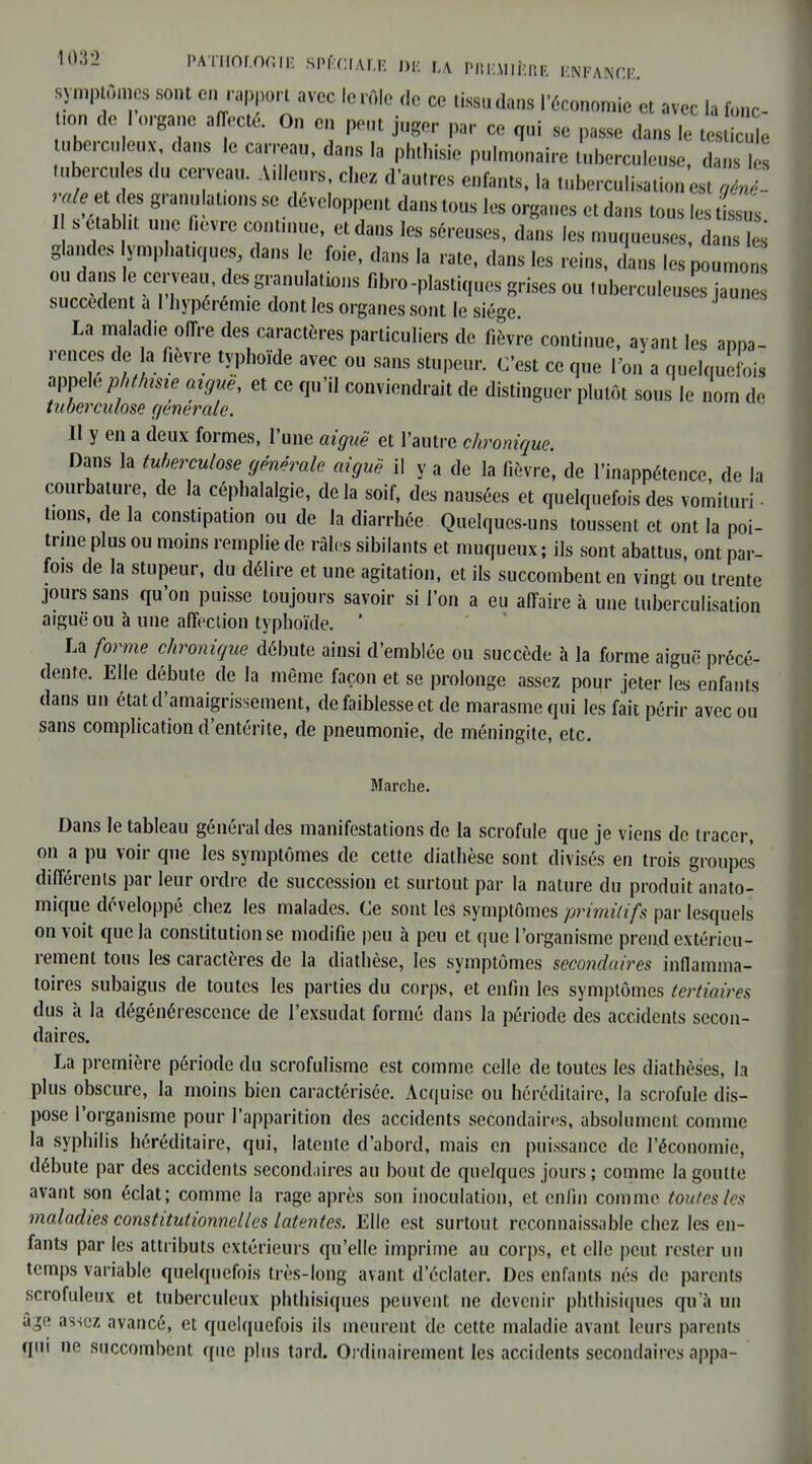 symptômes sont en rapport avec le rôle .le ce tissa dans l'économie et avec la fonc .on de I organe affecte. On en pent jnger par ce qui se passe dans le trstie.de nberenlenv dans le carreau, dans la phthisie pulmonaire tuberculeuse, dans Z tubercules du cerveau. A,Heurs, chez d'autres enfants, la tuberculisation est gM- ’iUYuâhT? 8' J,“!‘ll'°nS se.<léïcl°PPent <!“'>» ions les organes et dans tous les tissus 1 s établit une lièvre continue, et dans les séreuses, dans les muqueuses, dans les glandes lymphatiques, dans le foie, dans la rate, dans les reins, dans les poumon ou dans le cerveau des granulations libre -plastiques grises ou tuberculeuses jaunes succèdent a I hypérémie dont les organes sont le siège. La maladie offre des caractères particuliers de fièvre continue, ayant les appa- rences de a fièvre typhoïde avec ou sans stupeur. C'est ce que l’on a quelquefois appeléphthisie aigue, et ce qu'il conviendrait de distinguer plutôt sous le nom de tuberculose generale. Il y en a deux formes, l’une aiguë et l’autre chronique. Dans la tuberculose générale aiguë il y a de la fièvre, de l’inappétence, de la courbature, de la céphalalgie, delà soif, des nausées et quelquefois des vomituri • lions, de la constipation ou de la diarrhée Quelques-uns toussent et ont la poi- trine plus ou moins remplie de raies sibilants et muqueux; ils sont abattus, ont par- fois de la stupeur, du délire et une agitation, et ils succombent en vingt ou trente jours sans qu’on puisse toujours savoir si l’on a eu affaire à une tuberculisation aiguë ou à une affection typhoïde. ’ La forme chronique débute ainsi d’emblée ou succède à la forme aiguë précé- dente. Elle débute de la même façon et se prolonge assez pour jeter les enfants dans un état d’amaigrissement, de faiblesse et de marasme qui les fait périr avec ou sans complication d entérite, de pneumonie, de méningite, etc. Marche. Dans le tableau général des manifestations de la scrofule que je viens de tracer, on a pu voir que les symptômes de cette diathèse sont divisés en trois groupes différents par leur ordre de succession et surtout par la nature du produit anato- mique développé chez les malades. Ce sont les symptômes primitifs par lesquels on voit que la constitution se modifie peu à peu et que l’organisme prend extéricu- îement tous les caractères de la diathèse, les symptômes secondaires inflamma- toires subaigus de toutes les parties du corps, et enfin les symptômes tertiaires dus à la dégénérescence de l’exsudât formé dans la période des accidents secon- daires. La première période du scrofulisme est comme celle de toutes les diathèses, la plus obscure, la moins bien caractérisée. Acquise ou héréditaire, la scrofule dis- pose 1 organisme pour l’apparition des accidents secondaires, absolument comme la syphilis héréditaire, qui, latente d’abord, mais en puissance de l’économie, débute par des accidents secondaires au bout de quelques jours ; comme la goutte avant son éclat; comme la rage après son inoculation, et enfin comme toutes les maladies constitutionnelles latentes. Elle est surtout reconnaissable chez les en- fants par les attributs extérieurs qu’elle imprime au corps, et elle peut rester un temps variable quelquefois très-long avant d’éclater. Des enfants nés de parents scrofuleux et tuberculeux phthisiques peuvent ne devenir phthisiques qu’à un âge assez avancé, et quelquefois ils meurent de cette maladie avant leurs parents qui ne succombent que plus tard. Ordinairement les accidents secondaires appa-