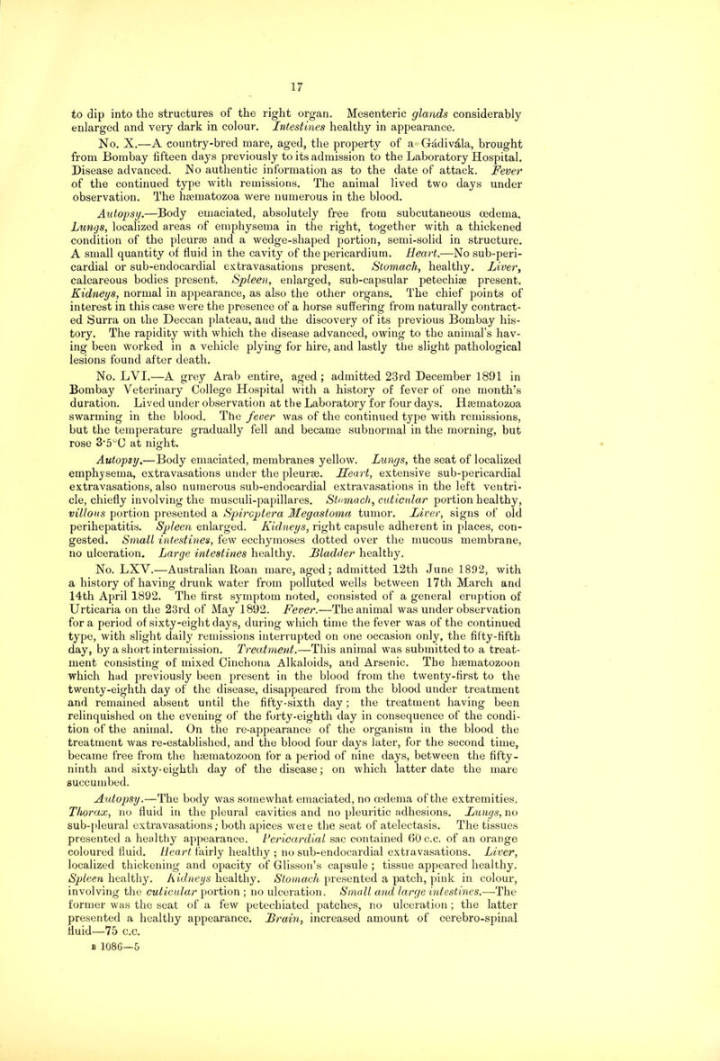 to dip into the structures of the right organ. Mesenteric glands considerably enlarged and very dark in colour. Intestines healthy in appearance. No. X.—A country-bred mare, aged, the property of a Gadivala, brought from Bombay fifteen days previously to its admission to the Laboratory Hospital. Disease advanced. Ho authentic information as to the date of attack. Fever of the continued type with remissions. The animal lived two days under observation. The hsematozoa were numerous in the blood. Autopsy.—Body emaciated, absolutely free from subcutaneous oedema. Lungs, localized areas of emphysema in the right, together with a thickened condition of the pleurse and a wedge-shaped portion, semi-solid in structure. A small quantity of fluid in the cavity of the pericardium. Heart.—No sub-peri- cardial or sub-endocardial extravasations present. Stomach, healthy. Liver, calcareous bodies present. Spleen, enlarged, sub-capsular petechiae present. Kidneys, normal in appearance, as also the other organs. The chief points of interest in this case were the presence of a horse suffering from naturally contract- ed Surra on the Deccan plateau, and the discovery of its previous Bombay his- tory. The rapidity with which the disease advanced, owing to the animal’s hav- ing been worked in a vehicle plying for hire, and lastly the slight pathological lesions found after death. No. LYI.— A grey Arab entire, aged ; admitted 23rd December 1891 in Bombay Veterinary College Hospital with a history of fever of one month’s duration. Lived under observation at the Laboratory for four days. Hmmatozoa swarming in the blood. The fever was of the continued type with remissions, but the temperature gradually fell and became subnormal in the morning, but rose 3*5°C at night. Autopsy.—Body emaciated, membranes yellow. Lungs, the seat of localized emphysema, extravasations under the pleurae. Heart, extensive sub-pericardial extravasations, also numerous sub-endocardial extravasations in the left ventri- cle, chiefly involving the musculi-papillares. Stomach, cuticnlar portion healthy, villous portion presented a Spircptera Megastoma tumor. Liver, signs of old perihepatitis. Spleen enlarged. Kidneys, right capsule adherent in places, con- gested. Small intestines, few ecchymoses dotted over the mucous membrane, no ulceration. Large intestines healthy. Bladder healthy. No. LXV.—Australian Loan mare, aged; admitted 12th June 1892, with a history of having drunk water from polluted wells between 17th March and 14th April 1892. The first symptom noted, consisted of a general eruption of Urticaria on the 23rd of May 1892. Fever.—The animal was under observation fora period of sixty-eight days, during which time the fever was of the continued type, with slight daily remissions interrupted on one occasion only, the fifty-fifth day, by a short intermission. Treatment.—This animal was submitted to a treat- ment consisting of mixed Cinchona Alkaloids, and Arsenic. The hsematozoon which had previously been present in the blood from the twenty-first to the twenty-eighth day of the disease, disappeared from the blood under treatment and remained absent until the fifty-sixth day; the treatment having been relinquished on the evening of the forty-eighth day in consequence of the condi- tion of the animal. On the re-appearance of the organism in the blood the treatment was re-established, and the blood four days later, for the second time, became free from the haematozoon for a period of nine days, between the fifty- ninth and sixty-eighth day of the disease; on which latter date the mare succumbed. Autopsy.—The body was somewhat emaciated, no oedema of the extremities. Thorax, no fluid in the pleural cavities and no pleuritic adhesions. Lungs, no sub-pleural extravasations; both apices were the seat of atelectasis. The tissues presented a healthy appearance. Pericardial sac contained 60c.c. of an orange coloured fluid. Heart fairly healthy ; no sub-endocardial extravasations. Liver, localized thickening and opacity of Glisson’s capsule ; tissue appeared healthy. Spleen healthy. Kidneys healthy. Stomach presented a patch, pink in colour, involving the cuticular portion ; no ulceration. Small and large intestines.—The former was the seat of a few petechiated patches, no ulceration; the latter presented a healthy appearance. Brain, increased amount of cerebro-spinal fluid—75 c.c.