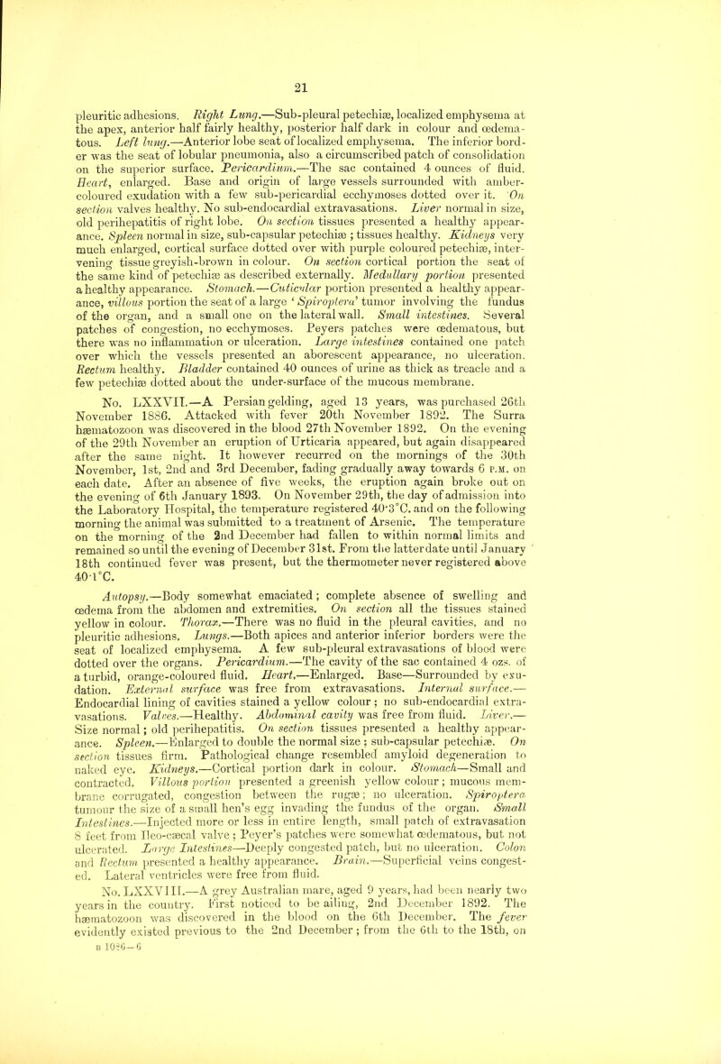 pleuritic adhesions. Right Lung.—Sub-pleural petechise, localized emphysema at the apex, anterior half fairly healthy, posterior half dark in colour and oedema - tous. Left lung.—Anterior lobe seat of localized emphysema. The inferior bord- er was the seat of lobular pneumonia, also a circumscribed patch of consolidation on the superior surface. Pericardium.—The sac contained 4 ounces of fluid. Heart, enlarged. Base and origin of large vessels surrounded with amber- coloured exudation with a few sub-pericardial ecchymoses dotted over it. On section valves healthy. No sub-endocardial extravasations. Liver normal in size, old perihepatitis of right lobe. On section tissues presented a healthy appear- ance. Spleen normal in size, sub-capsular petechise ; tissues healthy. Kidneys very much enlarged, cortical surflice dotted over with purple coloured petechias, inter- vening tissue greyish-brown in colour. On section cortical portion the seat of the same kind of petechise as described externally. Medullary portion presented a healthy appearance. Stomach. — Cuticvlar portion presented a healthy appear- ance, villous portion the seat of a large ‘Spiroptera’ tumor involving the fundus of the organ, and a small one on the lateral wall. Small intestines. Several patches of congestion, no ecchymoses. Peyers patches were cedematous, but there was no inflammation or ulceration. Large intestines contained one patch over which the vessels presented an aborescent appearance, no ulceration. Rectum healthy. Bladder contained 40 ounces of urine as thick as treacle and a few petechias dotted about the under-surface of the mucous membrane. No. LXXVII.—A Persian gelding, aged 13 years, was purchased 26th November 188G. Attacked with fever 20th November 1892. The Surra hsematozoon was discovered in the blood 27th November 1892. On the evening of the 29th November an eruption of Urticaria appeared, but again disappeared after the same night. It however recurred on the mornings of the 30th November, 1st, 2nd and 3rd December, fading gradually away towards 6 p.m. on each date. After an absence of five weeks, the eruption again broke out on the evening of 6th January 1893. On November 29th, the day of admission into the Laboratory Hospital, the temperature registered 40‘3°C. and on the following morning the animal was submitted to a treatment of Arsenic. The temperature on the morning of the 2nd December had fallen to within normal limits and remained so until the evening of December 31st. From the latterdate until January 18th continued fever was present, but the thermometer never registered above 40T°C. Autopsy.—Body somewhat emaciated ; complete absence of swelling and oedema from the abdomen and extremities. On section all the tissues stained yellow in colour. Thorax,—There was no fluid in the pleural cavities, and no pleuritic adhesions. Lungs.—Both apices and anterior inferior borders were the seat of localized emphysema. A few sub-pleural extravasations of blood were dotted over the organs. Pericardium.—The cavity of the sac contained 4 ozs. of a turbid, orange-coloured fluid. Heart,—Enlarged. Base—Surrounded by exu- dation. External surface was free from extravasations. Internal surface.— Endocardial lining of cavities stained a yellow colour ; no sub-endocardial extra- vasations. Values.—Healthy. Abdominal cavity was free from fluid. Liver.— Size normal; old perihepatitis. On section tissues presented a healthy appear- ance. Spleen.—Enlarged to double the normal size ; sub-capsular petechise. On section tissues firm. Pathological change resembled' amyloid degeneration to naked eye. Kidneys.—Cortical portion dark in colour. Stomach—Small and contracted. Villous portion presented a greenish yellow colour ; mucous mem- brane corrugated, congestion between the rugae; no ulceration. Spiroptera tumour the size of a small hen’s egg invading the fundus of the organ. Small Intestines.—Injected more or less in entire length, small patch of extravasation 8 feet from Ueo-caecal valve ; Beyer’s patches were somewhat cedematous, but not ulcerated. Large Intestines—Deeply congested patch, but no ulceration. Colon and Rectum presented a healthy appearance. Brain.—Superficial veins congest- ed. Lateral ventricles were free from fluid. No. LXXYIII.—A grey Australian mare, aged 9 years, had been nearly two years in the country. First noticed to be ailing, 2nd December 1892. The hsematozoon was discovered in the blood on the 6th December. The fever evidently existed previous to the 2nd December ; from the 6th to the 18th, on