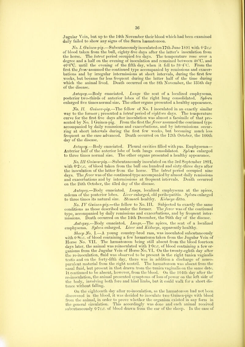 Jugular Vein, but up to the 14th November their blood which had been examined daily failed to show any signs of the Surra hannatozoon. No. I. Guinea-pig.—Subcutaneously inoculated on 17th June 1891 with 0'2c.c of blood taken from the bull, eighty-five days after the latter’s inoculation from the horse. The latent period occupied ten days. The temperature rose over a degree and a half on the evening of inoculation and remained between 40°C. and 40'6°C. until the evening of the fifth day, when it fell to 38'4°(J. From the first the fever assumed the continued type accompanied by remissions and exacer- bations and by irregular intermissions at short intervals, during the first few weeks, but became far less frequent during the latter half of the time during which the animal lived. Death occurred on the 8th November, the 135th day of the disease. Autopsy.—Body emaciated. Lungs the seat of a localized emphysema, posterior two-thirds of anterior lobes of the right lung consolidated. Spleen enlarged five times normal size. The other organs presented a healthy appearance. No. II. Guinea-pig.—The fellow of No. I inoculated in an exactly similar way to the former ; presented a latent period of eighteen days. The temperature curve for the first five days after inoculation was almost a facsimile of that pre- sented by No. I Guinea-pig. From the first the fever assumed the continued type accompanied by daily remissions and exacerbations, and by intermissions occur- ring at short intervals during the first few weeks, but becoming much less frequent as the case advanced. Death occurred on the 12th October, the 100th day of the disease. Autopsy.— Body emaciated. Pleural cavities filled with pus. Emphysema— Anterior half of the anterior lobe of both lungs consolidated. Spleen enlarged to three times normal size. The other organs presented a healthy appearance. No. Ill Guinea-pig.—Subcutaneously inoculated on the 3rd September 1891, with 0‘2 c.c. of blood taken from the bull one hundred and sixty-three days after the inoculation of the latter from the horse. The latent period occupied nine days. The fever was of the continued type accompanied by almost daily remissions and exacerbations and by intermissions at frequent intervals. Death occurred on the 24th October, the 43rd day of the disease. Autopsy.—Body emaciated. Lungs, localized emphysema at the apices, oedema of the posterior lobes. Liver enlarged, old perihepatitis. Spleen enlarged to three times its natural size. Stomach healthy. Kidneys ditto. No. IV Guinea-pig.—the fellow to No. III. Subjected to exactly the same conditions as those described under the former. The fever was of the continued type, accompanied by daily remissions and exacerbations, and by frequent inter- missions. Death occurred on the 14th December, the 94th day of the disease. Autopsy.—Body emaciated. Lungs.—The apices, the seat of a localized emphysema. Spleen enlarged. Liver and Kidneys, apparently healthy. Sheep No. I.—A young country-bred ram, was inoculated subcutaneously withO'Sc.C. of blood containing a few hsematozoa taken from the Jugular Vein of Horse No. VII. The hasmatozoon being still absent from the blood fourteen days later, the animal was reinoculated with 1‘Oc.C. of blood containing a few or- ganisms from the Jugular Vein of Horse No. VI. On the twenty-eghth day after the re-inoculation, fluid was observed to be present in the right tunica vaginalis testis and on the forty-fifth day, there was in addition a discharge of muco- purulent material from the right nostril. The hsematozoon was absent from the nasal fluid, but present in that drawn irom the tunica vaginalis on the same date. It continued to be absent, however, from the blood. On the 104th day after the re-inoculation, the animal presented symptoms of loss of power on the left side of the body, involving both fore and hind limbs, but it could walk for a short dis- tance without falling. On the eighteenth day after re-inoculation, as the hasmatozoon had not been discovered in the blood, it was decided to inoculate two Guinea-pigs with blood from the animal, in order to prove whether the organism existed in any form in the general circulation. This accordingly was done and each animal received subcutaneously OJc.c. of blood drawn from the ear of the sheep. In the case of