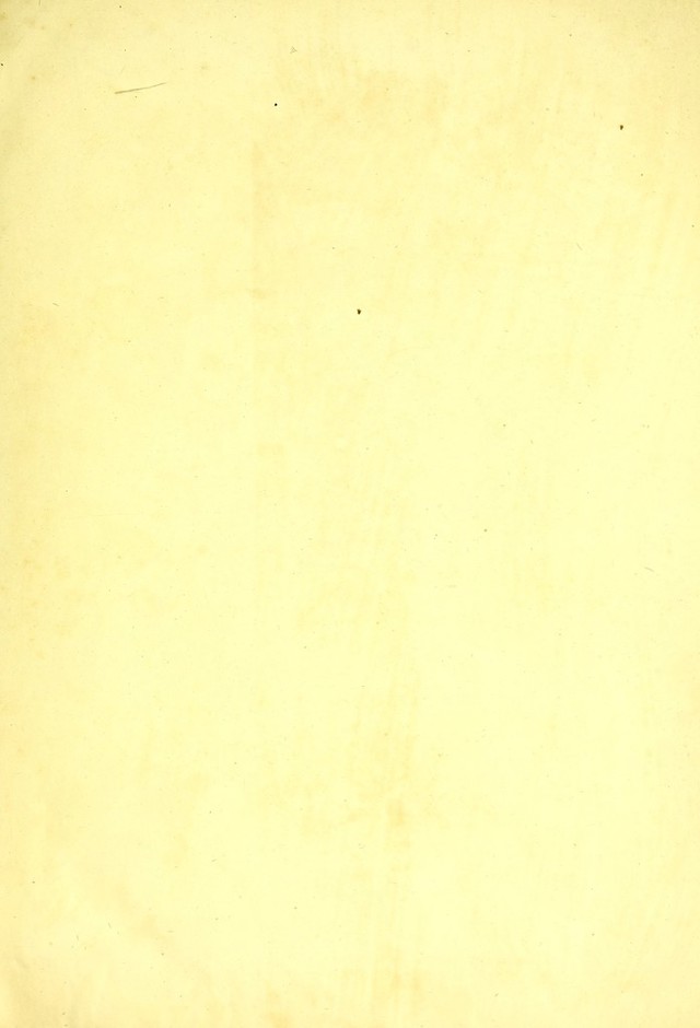 digitised image 3