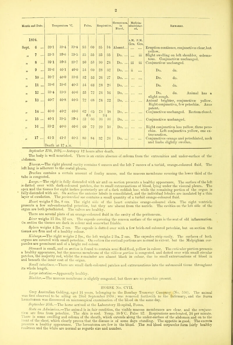 Month and Date. Temperature °c. Pulse. Respiration. Saematozoa. in Blood. Medicine administer- ed. Re masks. 1894. Sept. 6 ... 39-1 39-4 39*4 53 60 35 34 Absent... A.M. P.M. Grs. Grs. Eruption continues, conjunctive clear,hut 99 7 ... 39-3 39-6 39-5 55 55 33 35 Do. ... ... iii yellow. Slight swelling on left shoulder, oedema- 99 8 ... 39T 39-3 39-7 50 53 30 24 Do. ... iii iii tous. Conjunctive unchanged. Conjunctivas unchanged. 9) 9 ... 39-6 40-1 40-0 54 60 28 32 Do. ... ii Do. do. ft 10 ... 39-7 40-0 39-8 52 53 26 27 Do. ... Do. do. ft 11 ... 39-6 39-6 40-3 54 68 28 26 Do. ... Do. do. 91 12 ... 39-4 39-9 40-6 53 72 24 16 Do. ... Do. do. Animal has a 99 13 ... 40*7 40-8 40-5 72 68 24 22 Do. ... slight cough. o o Animal brighter, conjunctivse yellow. Right conjunctiva, few petechise. Anus patent. Conjunctive unchanged. Rectum closed. )t 14 ... 40-0 40-2 40-6 62 65 24 IS Do. ... V 15 ... 40T 39-5 39-4 6 59 4 66 3 36 4 36 Do. ... Conjunctivse unchanged. 99 16 ... 39-2 40-0 40-6 GO 72 20 18 Do. ... ... ... Right conjunctiva less yellow, three pete- 99 17 ... 413 41-2 40-3 SO 84 32 26 Do. ... chise. Left conjunctiva yellow, one ex- travasation. Conjunctive orange and petechiated, neck Death at 12 a. M. and limbs slightly swollen. September 17th, 189%.—Autopsy 12 hours after death. The body is well nourished. There is an entire absence of oedema from the extremities and under-surface of the abdomen. Ihorax.—The right pleural cavity contains 6 ounces and the left 7 ounces of a turbid, orange-coloured fluid. The left lung is adherent to the costal pleura. Trachea contains a certain amount of frothy mucus, and the mucous membrane covering the lower third of the tube is congested. Lungs.—The right is fully distended with air and on section presents a healthy appearance. The surface of the left is dotted over with dark-coloured patches, due to small extravasations of blood, lying under the visceral pleura. The apex and the tissues for eight inches posteriorly are of a dark reddish hue, while the remaining portion of the organ is fully distended with air. On section the anterior lobule is consolidated, and the individual lobules are insulated by a thin layer of exudation, the pericardial sac contains a small quantity of a turbid orange-coloured fluid. Heart weighs 6 lbs. 8 ozs. The right side of the heart contains orange-coloured clots. The right ventricle presents a few sub-enclocardial petechie, but they are absent from the auricle. The cavities on the left side of the organ are both petechiated. The valves are healthy. There are several pints of an orange-coloured fluid in the cavity of the peritoneum. Liver weighs 13 lbs. 12 ozs. The capsule covering the convex surface of the organ is the seat of old inflammation. On section the tissues are dark in colour and somewhat friable. Spleen weighs 4 lbs. 2 ozs. The capsule is dotted over with a few brick-red coloured petechias, but on section the tissues are firm and of a healthy colour. Kidneys.—The right weighs 2 lbs., the left weighs 2 lbs. 2 ozs. The capsules strip easily. The surfaces of both organs are covered with small petechiae. On section the cortical portions are normal in extent, but the Malpighian cor- puscles are prominent and of a bright red colour. Stomach is small, and on section is found to contain semi fluid food, yellow in colour, The cuticular portion presents a healthy appearance, but the mucous membrane of the villous portion is congested, and dotted over with small circular patches, the majority red, whilst the remainder are almost black in colour, due to small extravasations of blood in and beneath the inner coat of the organ. Small intestines.—There are small dark-coloured patches and extravasations into the submucoid tissue throughout its whole length. Large intestine.—Apparently healthy. Bladder.—The mucous membrane is slightly congested, but there are no petechiae present. HORSE No. CVII. Grey Australian Gelding, aged 14 years, belonging to the Bombay Tramway Company (No. 536). The animal was first observed to be ailing on 23rd September 1894; was removed forthwith to the Infirmary, and the Surra hsematozoon was discovered on microscopical examination of the blood on the same day. September 25th.—The horse arrived at the Laboratory Hospital, Poona. State on Admission.—The animal is in fair condition, the visible mucous membranes are clear, and the conjunc- tivae are free from petechie. The skin is cool. Temp. 38'5CC. Pulse 52. Respirations accelerated, 34 per minute, there is some swelling and cedema of the sheath, which extends along the under-surface of the abdomen and on to the iront of the chest, which clearly proves that the disease is of some days standing. The appetite is good. The excreta presents a healthy appearance. The hematozoa are few in the blood. jThe red blood corpuscles form fairly healthy rouleaux and the white are normal as regards size and number.