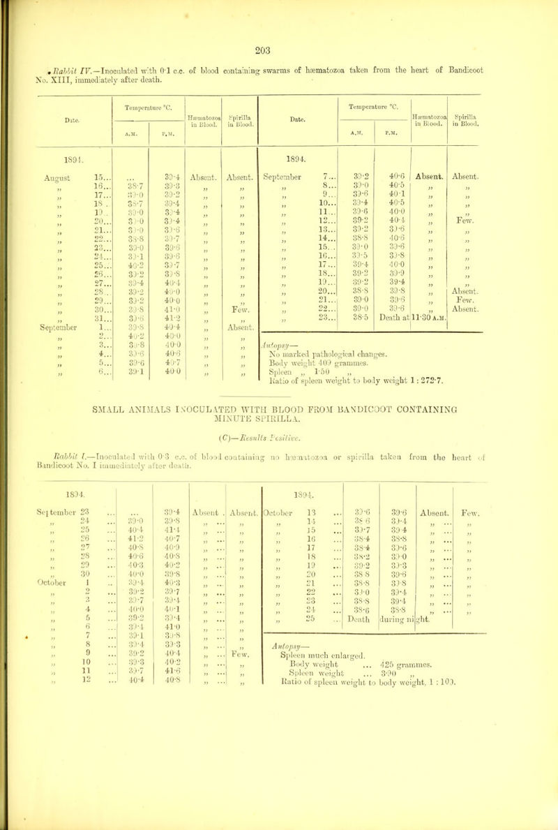 * Rabbit IV.—Inoculated with OH c.c. of blood containing swarms of lwematozoa taken from the heart of Bandicoot No. XIII, immediately after death. Date. 1894. Temperature °C. Hasmatozoa Spirilla in Blood. in Blood. Date. Temperature °C. Haematozoa Spirilla in Blood. in Blood. A.M. P.M. A.M. 1894. P.M. August 33 33 93 33 >> )) )> ?> 33 )) 33 33 )) 33 33 September 33 3) 33 33 33 15.. . 16.. . 17.. . 18 .. 19.. 20.. . 21... 22... 23.. . 24.. . 25.. . 26.. . 27.. . 28.. . 29.. . 30.. . 31.. . 1... 2... 3.. . 4.. . 5.. . 6.. . 38- 7 2)9-0 33-7 39- 0 39-0 33-0 38- 8 39- 0 33-1 40- 2 33-2 39-4 39-2 33-2 39-S 33-6 39- 8 40- 2 3:)-8 3.3-6 396 391 39-4 39-3 39-2 39-4 33-4 33-4 33-6 33-7 39-6 39-6 39- 7 33-8 40- 4 40-0 40- 0 41- 0 41-2 40-4 40-0 40-0 40-6 40-7 40-0 Absent. Absent. September Few. 33 Absent. 7.. . 8.. . 9... 10... 11... 12... 13.. . 14.. . 15. . 1G... 17.. . 18.. . 19.. . 20.. . 21... 22... 23... 39-2 33-0 33-6 39-4 39-6 39-2 39-2 38- 8 39- 0 39-5 39-4 39-2 39-2 38- 8 39- 0 39-0 38-5 40-6 40'5 40-1 40-5 40-0 40-4 33-6 406 39- 6 33-8 40- 0 39-9 39-4 39-8 39-6 39-6 Death at Absent. 33 33 33 33 33 33 33 33 33 33 33 33 33 33 1130 a.m. Absent. 33 33 33 33 Few. 33 33 33 33 33 33 33 Absent. Few. Absent. Autopsy— No marked pathological changes. Body weight 409 grammes. Spleen „ 150 „ Batio of spleen weight to body weight 1: 272-7. SMALL ANIMALS INOCULATED WITH BLOOD FROM BANDICOOT CONTAINING MINUTE SPIRILLA. (C)—Results Positive. Rabbit L—Inoculated with 0'3 c.c. of blood containing no hsematozoa or spirilla taken from tbe heart of Bandicoot No. I immediately after death. 1894. 1894. ei tember 23 39-4 Absent . Absent. October 13 39-6 39-6 Absent. Fe- 33 24 39-0 39-8 33 33 14 ... 38 6 39-4 33 * * ’ 33 25 40-4 41-4 „ 15 39-7 39-4 33 26 41-2 40-7 „ 16 38-4 38-8 33 27 40-8 40-9 33 * * ' „ 17 38-4 39-6 33 28 40-6 40-S 33 33 18 ... oS-2 39-0 33 39 33 29 40-3 40-2 33 33 „ 19 ... 39-2 39-3 33 33 33 30 40-0 39-S 33 * * ’ 33 20 ... 38 8 39-6 33 * * ’ ctober 1 39-4 40-3 33 » 38-8 39-8 33 2 39-2 39-7 33 • • • 33 09 11 ^ 3 9 ■ 0 39-4 33 3 39-7 39-4 33 * * * 33 23 ... 38-8 39-4 33 4 40-0 40-1 33 33 „ 24 ... 38-6 38-8 33 * * * 33 5 39-2 39-4 33 • • • °5 „ Death during ni ght. 33 6 39-4 410 33 33 7 39-1 39-8 33 * * * 33 8 39-4 39-3 33 * * * 33 Autopsy— 33 9 39-2 40-4 33 * * * Few. Spleen much enlarged. 33 10 39-3 40-2 33 33 Body weight 425 grammes. 33 11 39-7 41-6 33 • • • 33 Spleen weight 3-90 „ 93 12 404 40-8 33 33 Ratio of spleen weight to body weight, 1 : 109.