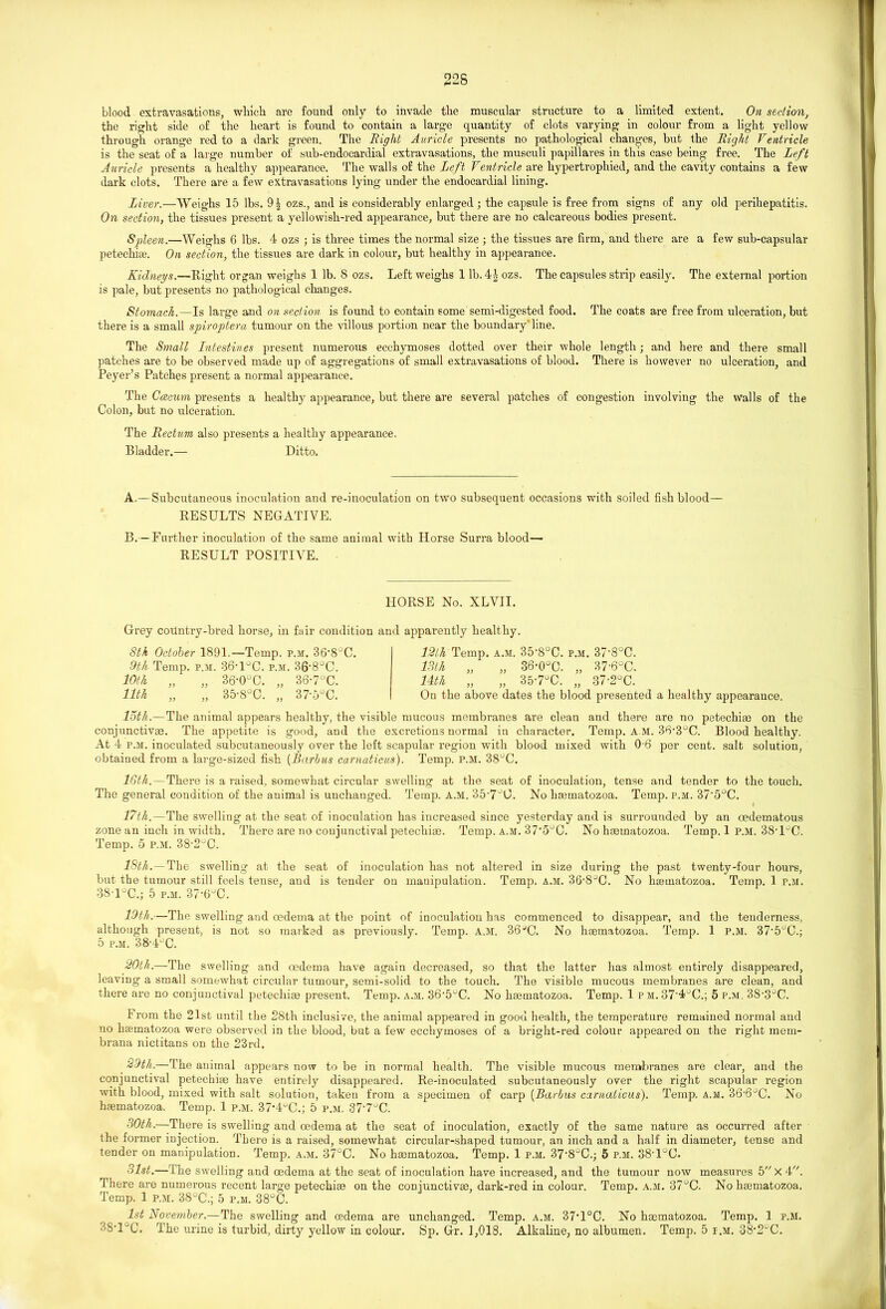 blood extravasations, which are found only to invade the muscular structure to a limited extent. On section, the right side of the heart is found to contain a large quantity of clots varying in colour from a light yellow through orange red to a dark green. The Right Auricle presents no pathological changes, but the Right Ventricle is the seat of a large number of sub-endocardial extravasations, the musculi papillares in this case being free. The Left Auricle presents a healthy appearance. The walls of the Left Ventricle are hypertrophied, and the cavity contains a few dark clots. There are a few extravasations lying under the endocardial lining. Liver.—Weighs 15 lbs. 9| ozs., and is considerably enlarged; the capsule is free from signs of any old perihepatitis. On section, the tissues present a yellowish-red appearance, but there are no calcareous bodies present. Spleen.—Weighs 6 lbs. 4 ozs ; is three times the normal size ; the tissues are firm, and there are a few sub-capsular petechias. On section, the tissues are dark in colour, but healthy in appearance. Kidneys.—Right organ weighs 1 lb. 8 ozs. Left weighs 1 lb. 41 ozs. The capsules strip easily. The external portion is pale, but presents no pathological changes. Stomach.—Is large and on section is found to contain some semi-digested food. The coats are free from ulceration, but there is a small spiroptera tumour on the villous portion near the boundary*line. The Small Intestines present numerous ecehymoses dotted over their whole length; and here and there small patches are to be observed made up of aggregations of small extravasations of blood. There is however no ulceration, and Peyer’s Patches present a normal appearance. The Ccecum presents a healthy appearance, but there are several patches of congestion involving the walls of the Colon, but no ulceration. The Rectum also presents a healthy appearance. Bladder.— Ditto. A. —Subcutaneous inoculation and re-inoculation on two subsequent occasions with soiled fish blood— RESULTS NEGATIVE. B. — Further inoculation of the same animal with Horse Surra blood— RESULT POSITIVE. HORSE No. XLVII. Grey coUntry-bred horse, in fair condition and apparently healthy. 8th October 1891.—Temp. p.m. 36'8°C. 9th Temp. p.m. 36-l°C. p.m. 36-8°C. 10th „ „ 36-0°C. „ 36-7°C. Uth „ „ 35-8°C. „ 37-5°C. 12th Temp. a.m. 35-8°C. p.m. 37-8°C. 13th „ „ 36-0°C. „ 37-6°C. Uth „ „ 357°C. „ 37-2°C. On the above dates the blood presented a healthy appearance. loth.—The animal appears healthy, the visible mucous membranes are clean and there are no petechiae on the conjunctive. The appetite is good, and the excretions normal in character. Temp. A M. 3<r3uC. Blood healthy. At 4 p.m. inoculated subcutaneously over the left scapular region with blood mixed with 0 6 per cent, salt solution, obtained from a large-sized fish (Barbus carnaticus). Temp. P.M. 38°C. 10th. — Tliei'e is a raised, somewhat circular swelling at the seat of inoculation, tense and tender to the touch. The general condition of the animal is unchanged. Temp. A.M. 35-7J0. No hematozoa. Temp. p.m. 37‘5°C. 17tli.—The swelling at the seat of inoculation has increased since yesterday and is surrounded by an oedematous zone an inch in width. There are no coujunctival petechiae. Temp. a.m. 37'5°C. No hematozoa. Temp. 1 P.M. 38-l°C. Temp. 5 p.m. 38-2°C. ISth. — The swelling at the seat of inoculation has not altered in size during the past twenty-four hours, but the tumour still feels tense, and is tender on manipulation. Temp. a.m. SG’S^C. No hematozoa. Temp. 1 r.M. 38 l°C.; 5 P.M. 37-6°C. 19th.—The swelling and oedema at the point of inoculation has commenced to disappear, and the tenderness, although present, is not so marked as previously. Temp. A.M. 36JC. No hematozoa. Temp. 1 p.m. 37-5uC.; 5 p.m. 38-4°C. 20lh.—The swelling and oedema have again decreased, so that the latter has almost entirely disappeared, leaving a small somewhat circular tumour, semi-solid to the touch. The visible mucous membranes are clean, and there are no conjunctival petechiae present. Temp. a.m. 36-5^C. No hematozoa. Temp. 1 pm. 37’4°C.; 5 p.m. 3S\3°C. From the 21st until the 28th inclusive, the animal appeared in good health, the temperature remained normal and no hsematozoa were observed in the blood, but a few ecehymoses of a bright-red colour appeared on the right mem- brana nictitans on the 23rd. 29th.—The animal appears now to be in normal health. The visible mucous membranes are clear, and the conjunctival petechiae have entirely disappeared. Re-inoculated subcutaneously over the right scapular region with blood, mixed with salt solution, taken from a specimen of carp (Barbus carnaticus). Temp. a.m. 36'6°C. No hematozoa. Temp. 1 p.m. 37‘4uC.; 5 p.m. 377uC. 30th.—There is swelling and oedema at the seat of inoculation, exactly of the same nature as occurred after the former injection. There is a raised, somewhat circular-shaped tumour, an inch and a half in diameter, tense and tender on manipulation. Temp. a.m. 37°C. No hsematozoa. Temp. 1 p.m. 37-8°C.; 5 p.m. 38’1qC. 31st.— The swelling and oedema at the seat of inoculation have increased, and the tumour now measures 5 X 4. There are numerous recent large petechise on the conjunctive, dark-red in colour. Temp. a.m. 37°C. No hsematozoa. Temp. 1 p.m. 38°C.; 5 p.m. 38°C. 1st November.—The swelling and oedema are unchanged. Temp. a.m. 37‘1°C. No hsematozoa. Temp. 1 p.m. 3S'IC. The urine is turbid, dirty yellow in colour. Sp. Gr. 1,018. Alkaline, no albumen. Temp. 5 r.M. 38'2UC.