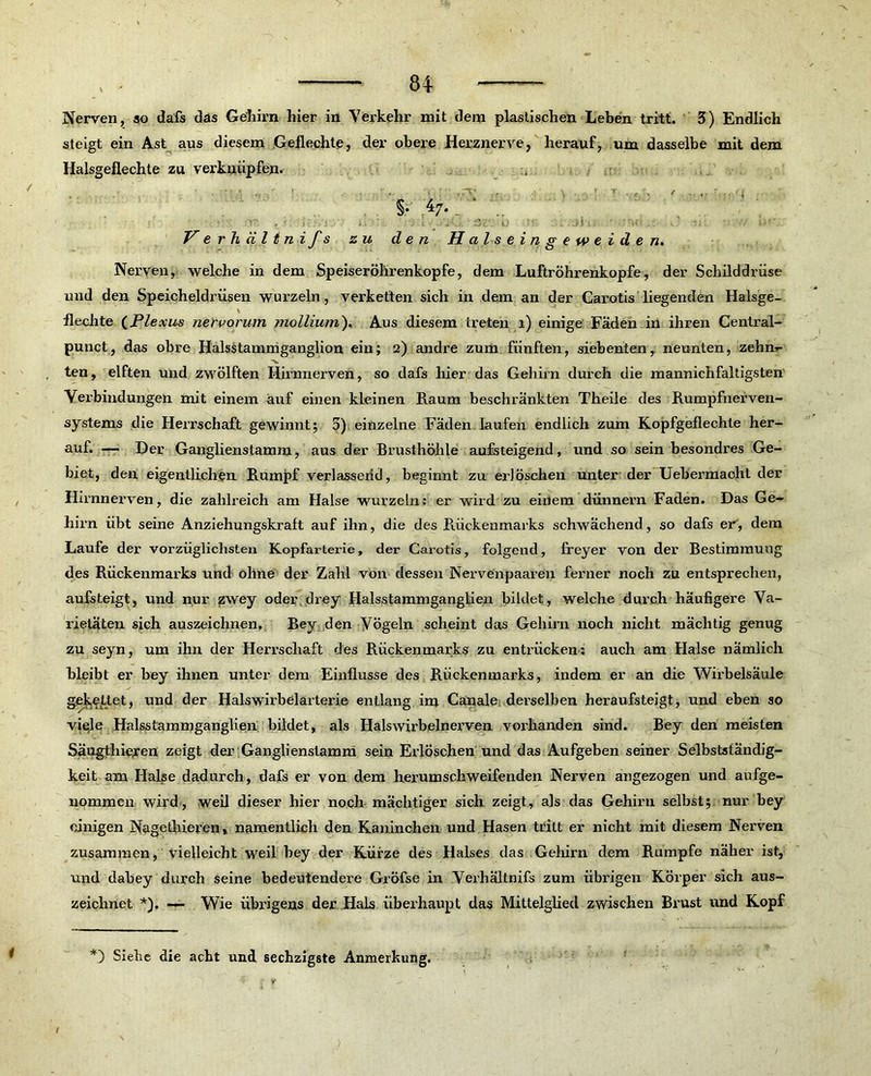 Nerven, so dafs das Gehirn hier in Verkehr mit dem plastischen Leben tritt. 5) Endlich steigt ein Ast aus diesem Geflechte, der obere Herznerve, herauf, um dasselbe mit dem Halsgeflechte zu verknüpfen. §• V er hältni f s zu den Halseingeweiden. Nerven, welche in dem Speiserölirenkopfe, dem Luftröhrenkopfe, der Schilddrüse und den Speicheldrüsen wurzeln, verketten sich in dem an der Carotis liegenden Halsge- flechte (Plexus nervorum molliwn). Aus diesem treten 1) einige Fäden in ihren Central- punct, das obre Halsstammganglion ein; 2) andre zum fünften, siebenten, neunten, zähm- ten, elften und zwölften Hirnnerven, so dafs hier das Gehirn durch die mannichfaltigsten Verbindungen mit einem auf einen kleinen Raum beschränkten Theile des Rumpfnerven- systems die Herrschaft gewinnt; 5) einzelne Fäden laufen endlich zum Kopfgeflechte her- auf* —• Der Ganglienstamm, aus der Brusthöhle aufsteigend, und so sein besondres Ge- biet, den eigentlichen Rumpf verlassend, beginnt zu erlöschen unter der Uebermacht der Hirnnerven, die zahlreich am Halse wurzeln: er wird zu einem dünnem Faden. Das Ge- hirn übt seine Anziehungskraft auf ihn, die des Rückenmarks schwächend, so dafs er, dem Laufe der vorzüglichsten Kopfarteiie, der Carotis, folgend, freyer von der Bestimmung des Rückenmarks und ohne der Zahl von dessen Nervenpaaren ferner noch zu entsprechen, aufsteigt, und nur zwey oder drey Halsstammganglien bildet, welche durch häufigere Va- rietäten sich auszeichnen, Bey den Vögeln scheint das Gehirn noch nicht mächtig genug zu seyn, um ihn der Herrschaft des Rückenmarks zu entrücken: auch am Halse nämlich bleibt er bey ihnen unter dem Einflüsse des Rückenmarks, indem er an die Wirbelsäule gekettet, und der Halswirbelarterie entlang im Canale derselben heraufsteigt, und eben so viele Halsstammganglien bildet, als Halswirbelnerven vorhanden sind. Bey den meisten Säugthieren zeigt der Ganglienslamm sein Erlöschen und das Aufgeben seiner Selbstständig- keit am Halse dadurch, dafs er von dem herumschweifenden Nerven angezogen und aufge- nommen wird, weil dieser hier noch mächtiger sich zeigt, als das Gehirn selbst; nur bey einigen Nagethieren, namentlich den Kaninchen und Hasen tritt er nicht mit diesem Nerven zusammen, vielleicht weil bey der Kürze des Halses das Gehirn dem Rumpfe näher ist, und dabey durch seine bedeutendere Gröfse in Verhältnifs zum übrigen Körper sich aus- zeichnet *). — Wie übrigens der Hals überhaupt das Mittelglied zwischen Brust und Kopf *