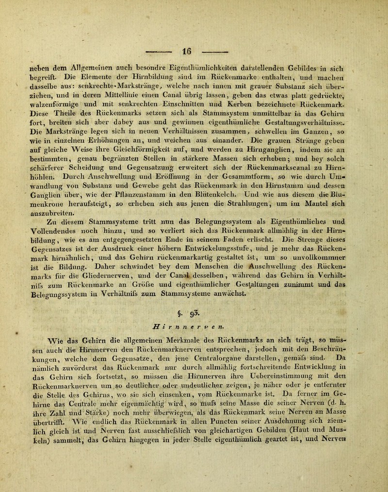 neben dem Allgemeinen auch hesondre Eigenlliii}n]ichkeiten darstellenden Gebildes in sich begreift. Die Elemente der Hirnbildung sind im Riickenmarke enthalten, und machen dasselbe aus: senkrechte‘Markstränge, welche nach innen mit grauer Substanz sich vibei’-> ziehen, und in deren Mittellinie einen Canal übrig lassen, geben das etwas platt gedrückte, walzenförmige und mit senkrechten Einschnitten und Kerben bezeichnete Rückenmark. Diese Theile des Rückenmarks setzen sich als Stammsystem unmittelbar in das Gehirn fort, breiten sich aber dabey aus und gewinnen eigenthümliche Gestaltungsverhältnisse. Die Markstränge legen sich in neuen Verhältnissen zusammen, schwellen im Ganzen, so wie in einzelnen Erhöhungen an, und weichen aus einander. Die grauen Stränge geben auf gleiche Weise ihre Gleichförmigkeit auf, und werden zu Hirnganglien, indem sie an bestimmten, genau begränzten Stellen in stärkere Massen sich erheben; und bey solch schärferer Scheidung und Gegensatzung erweitert sich der Rückeiamarkscanal zu Hirn- höhlen. Durch Anschwellung und Eröffnung in der Gesammtform, so wie durch Um- wandlung von Substanz und Gewebe geht das Rückenmark in den Hirnstamm und dessen ' Ganglien über, wie der Pflanzenstamm in den Blüteukelch. Und wie aus diesem die BIu- meukrone heraufsteigt, so erheben sich aus jenen die Strahlungen, um im Mantel sich auszubreiten. Zu diesem Stammsysteme tritt nun das Belegungssystem als Eigenthümhehes und Vollendendes noch hinzu, und so verliert sich das Rückenmark allmählig in der Hirn- bildung, wie es am entgegengesetzten Ende in seinem Faden erlischt. Die Strenge dieses Geg eusatzes ist der Ausdruck einer höhern Entwickelungsstufe, und je mehr das Rücken- mark hii'uähnlich, und das Gehirn rückenmarkartig gestaltet ist, um so unvollkommner ist die Bildung. Daher schwindet bey dem Menschen die Anschwellung des Rücken- marks für die Gliedernerven, und der Canal desselben, während das Gehirn in Verhält- nifs zum Rückenmarke an Gröfse und eigenthümlicher Gestaltungen zunimmt und das Beleguugssystem in Verhältnifs zum Stammsysteme anwächst. §. 93. Hirnnerpen. Wie das Gehirn die allgemeinen Mei’kmale des Rückenmarks an sich trägt, so müs- sen auch die Hirnnerven den Rückenmarknerven entsprechen, jedoch mit den Beschrän- kungen, welche dem Gegensätze, den jene Centralorgane darslellen, gemäfs sind. Da nämlich zuvörderst das Rückenmark nur durch aUmählig fortschreitende Entwicklung in das Gehirn sich fortsetzt, so müssen die Hirnnerven ihre Uebereinstiraraung mit den Rückenmarknerven um so deutlicher oder undeutlicher zeigen, je näher oder je entfernter die Stelle des Gehirns, wo sie sicli ehisenken, vom Rückenmarke ist. Da ferner im Ge- hirne das Centrale mehr eigenmächtig wird, so mufs seine Masse die seiner Nerven (d. h. ihre Zahl und Stärke) noch mehr überwiegen, als das Rückenmark seine Nerven an Masse überti’ifft. Wie endlich das Rückenmark in allen Puncten seiner Ausdehnung sich ziem- lich gleich ist und Nerven fast ausschliefslich von gleichartigen Gebilden (Haut und Mus- keln) sammelt, das Gehirn hingegen in jeder Stelle eigenthümlich geartet ist, und Nerven