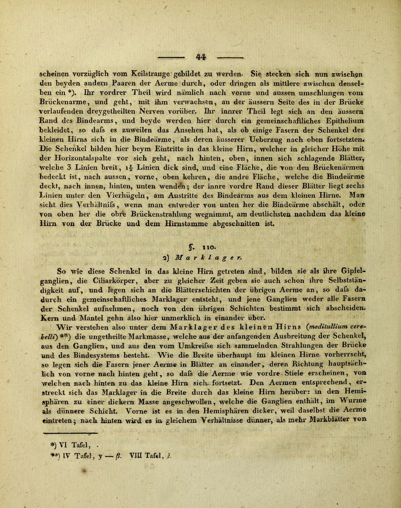 scheinen vorzüglich vom Keilstrange gebildet zu werden. Sie stecken sich nun zwischen den beyden andern Paaren der Aerme durch, oder dringen als mittlere zwischen densel- ben ein *). Ihr vordrer Theil wird nämlich nach vorne und aussen umschlungen vom Brückenarme, und geht, mit ihm verwachsen, an der äussern Seite des in der Biiicke verlaufenden dreygetheilten Nerven vorüber. Ihr innrer Theil legt sich an den äussern Rand des Bindearms, und beyde werden hier durch ein gemeinschaftliches Epithelium bekleidet, so dafs es zuweilen das Ansehen hat, als ob einige Fasern der Schenkel des kleinen Hirns sich in die Bindeärme, als deren äusserer Ueberzug nach oben fortsetzten. Die Schenkel bilden hier beym Eintritte in das kleine Hirn, welcher in gleicher Höhe mit der Horizontals})alte vor sich geht, nach hinten, oben, innen sich schlagende Blätter, welche 3 Linien breit, i|- Linien dick sind, und eine Fläche, die von den Brückenärmeu bedeckt ist, nach aussen, vonie, oben kehren, die andre Fläche, welche die Bindeärme deckt, nach innen, hinten, unten wenden; der innre vordre Rand dieser Blätter liegt sechs Linien unter den Vierhügeln, am Austritte des Bindearms aus dem kleinen Hirne. Man sieht dies Verhältnifs, wenn man entweder von unten her die Bindeärme abschält, oder von ohen her die obre Brückenstrahlung wegnimmt, am deutlichsten nachdem das kleine Hirn von der Brücke und dem Hirnstamme abgeschnitten ist. 110. a) Marhlager. So wie diese Schenkel in das kleine Hirn getreten sind, bilden sie als ihre Gipfel- ganglien, die Ciliarkörper, aber zu gleicher Zeit geben sie auch schon ihre .Selbststän- digkeit auf, und legen sich an die Blättersehichten der übrigen Aerme an, so dafs da- durch ein gemeinschaftliches Marklager entsteht, und jene Ganglien weder alle Fasern der Schenkel aufnehmen, noch von den übrigen Schichten hestimrat sich abscheiden. Kern und Mantel gehn also hier unmerkhch in einander über. ^^ir verstehen also unter dem Marklager des kleinen Hirns (rneditullium cere- die ungetheilteMarkmasse, welche aus der anfangenden Ausbreitung der Schenkel, aus den Ganglien, und aus den vom Umkreifse sich sammelnden Strahlungen der Brücke und des Bindesystems besteht. W^ie die Breite überhaupt im kleinen Hirne vorherrscht, so legen sich die Fasern jener Aerme in Blätter an einander, deren Richtung hauptsäch- lich von vorne nach hinten geht, so dals die Aerme wie vordre .Stiele erscheinen, von welchen nach hinten zu das kleine Hirn sich- fortsetzt. Den Aermen entsprechend, er- streckt sich das Mai’klager in die Breite durch das kleine Hirn herüber: in den Hemi- sphären zu feiner dickem Masse angeschwollen, welche die Ganghen enthält, im Wurme als dünnere Schicht. Vorne ist es in den Hemisphären dicker, weil daselbst die Aerme eintreten; nach hinten wird es in gleichem Verhältnisse dünner, als mehr 3Iarkblatter von «^)VI Tafel, . IV Tafel, y — ß. VIII Tafel,